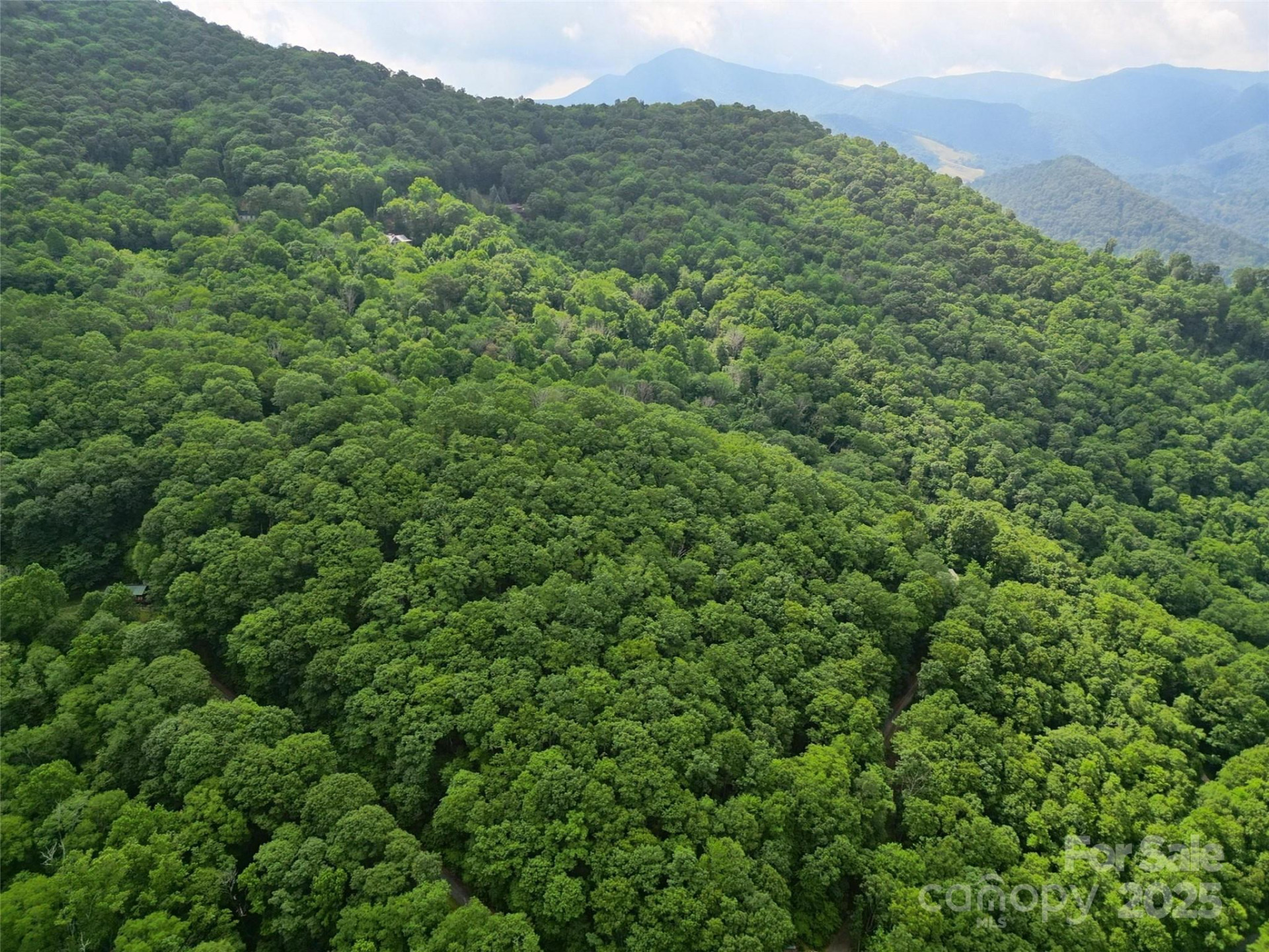 00 Promiseland Road - Photo 13