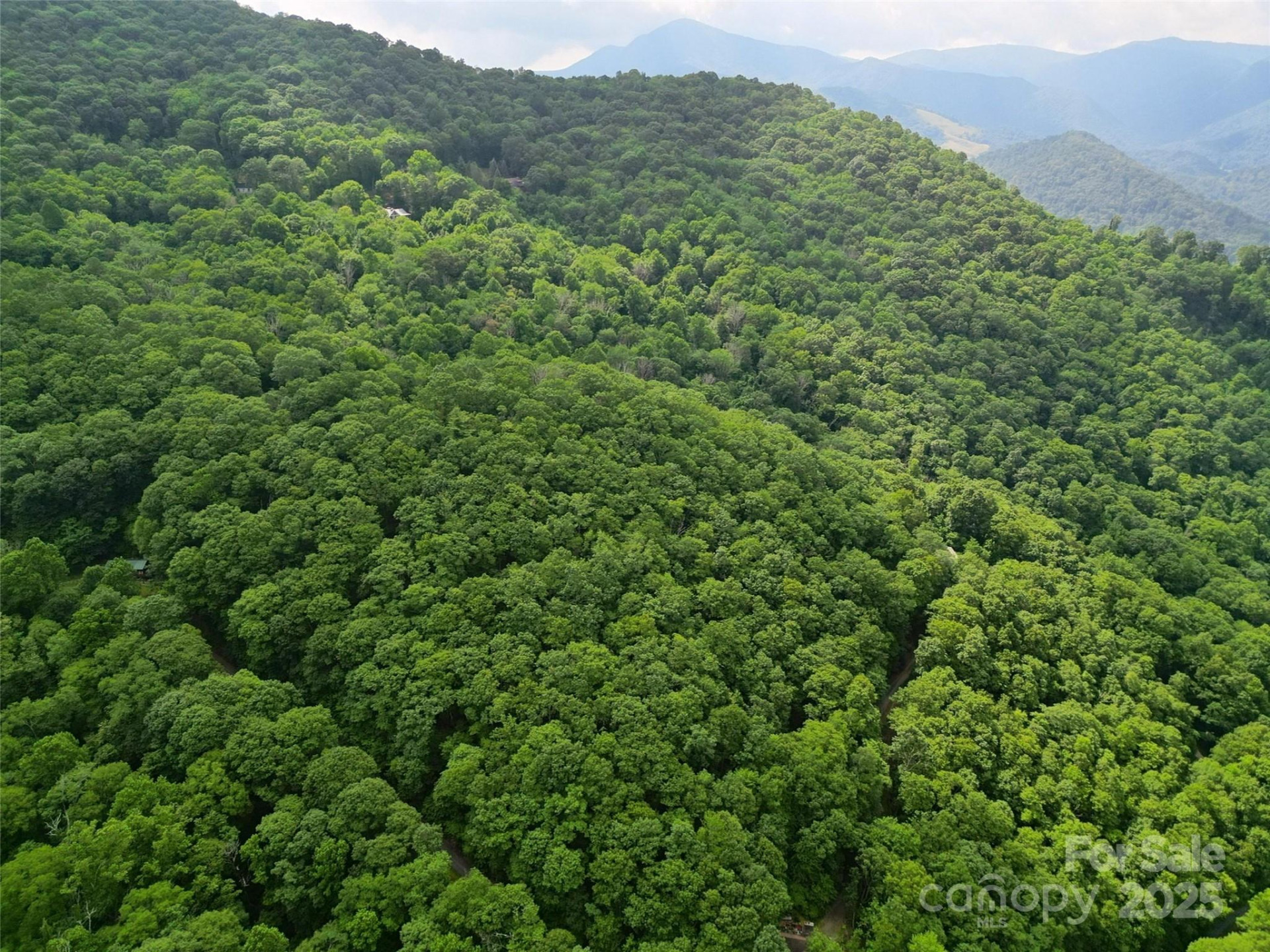 00 Promiseland Road - Photo 14