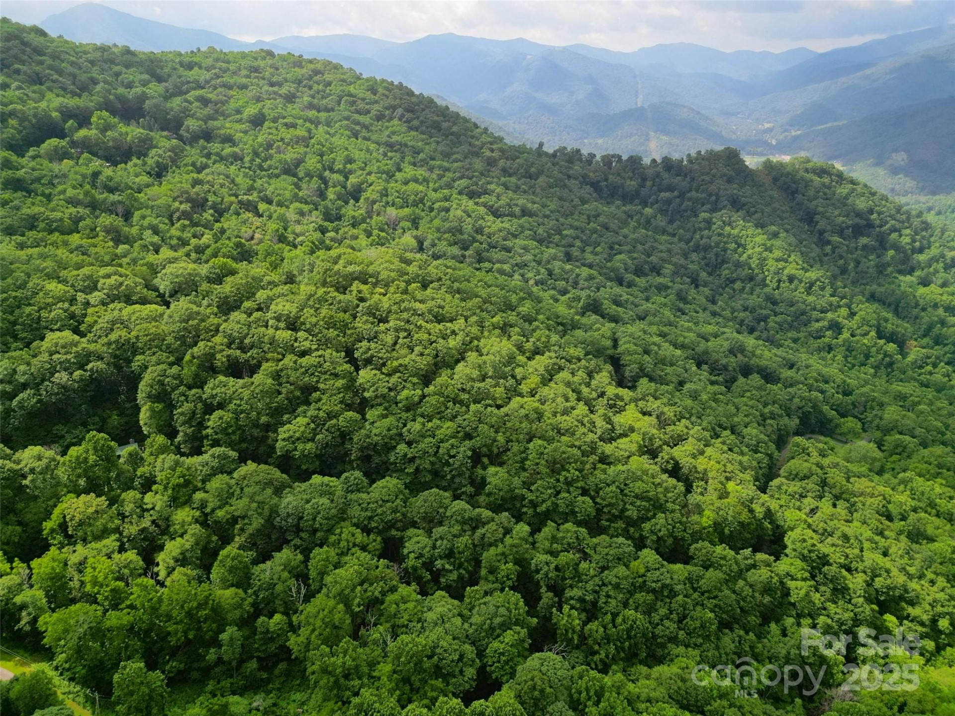 00 Promiseland Road - Photo 15