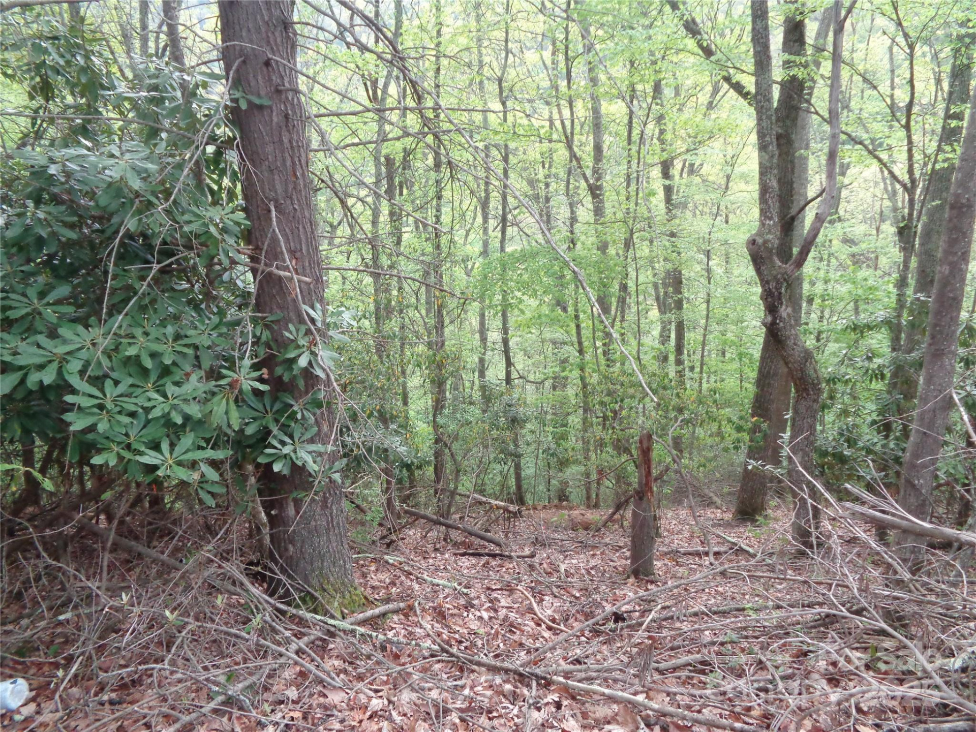 00 Promiseland Road - Photo 3