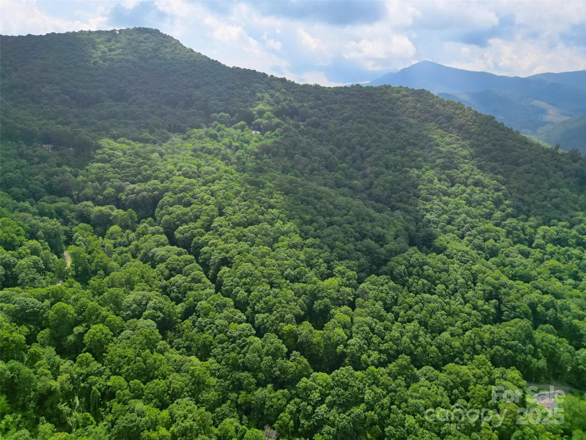 00 Promiseland Road - Photo 21