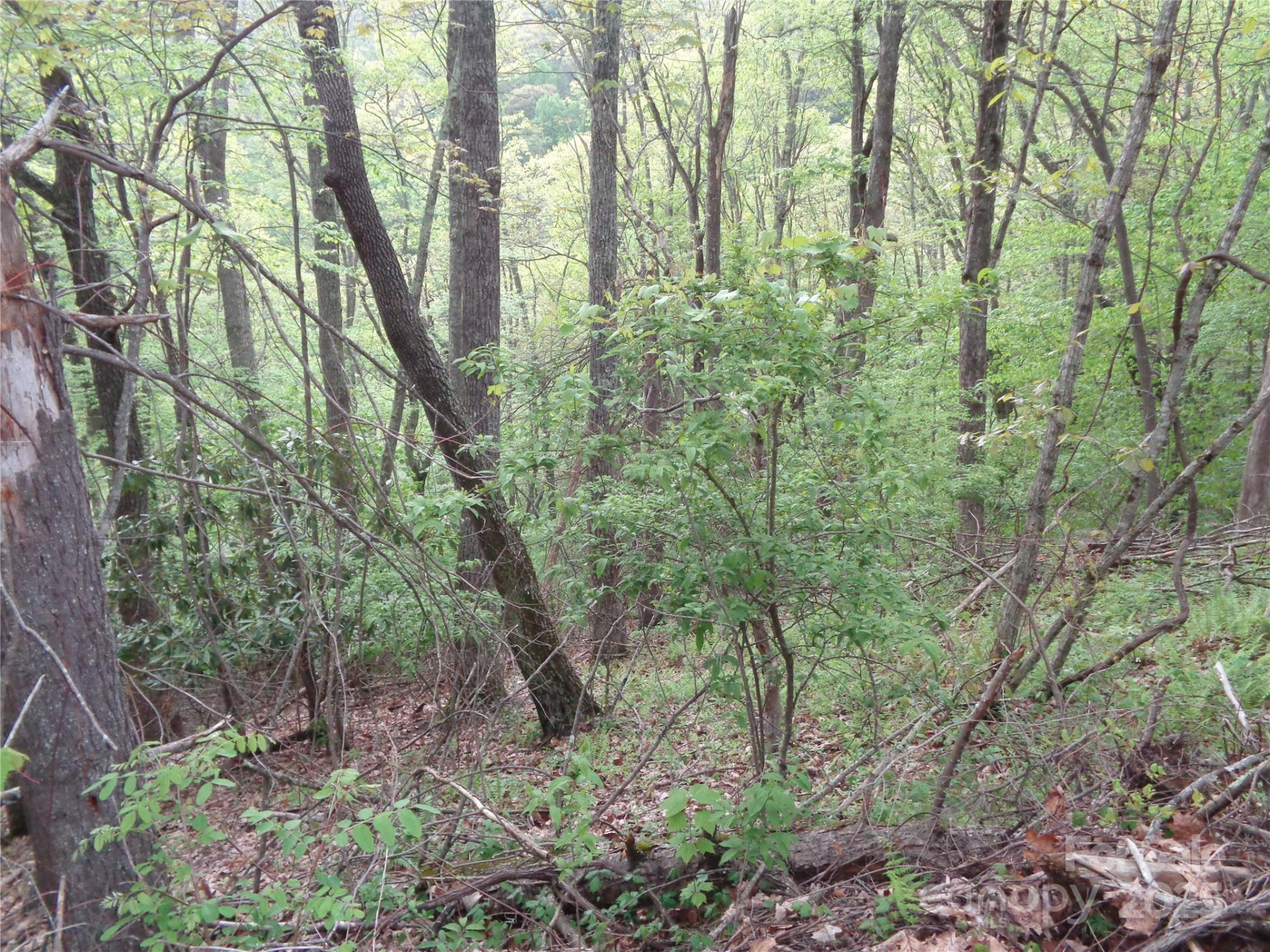 00 Promiseland Road - Photo 7