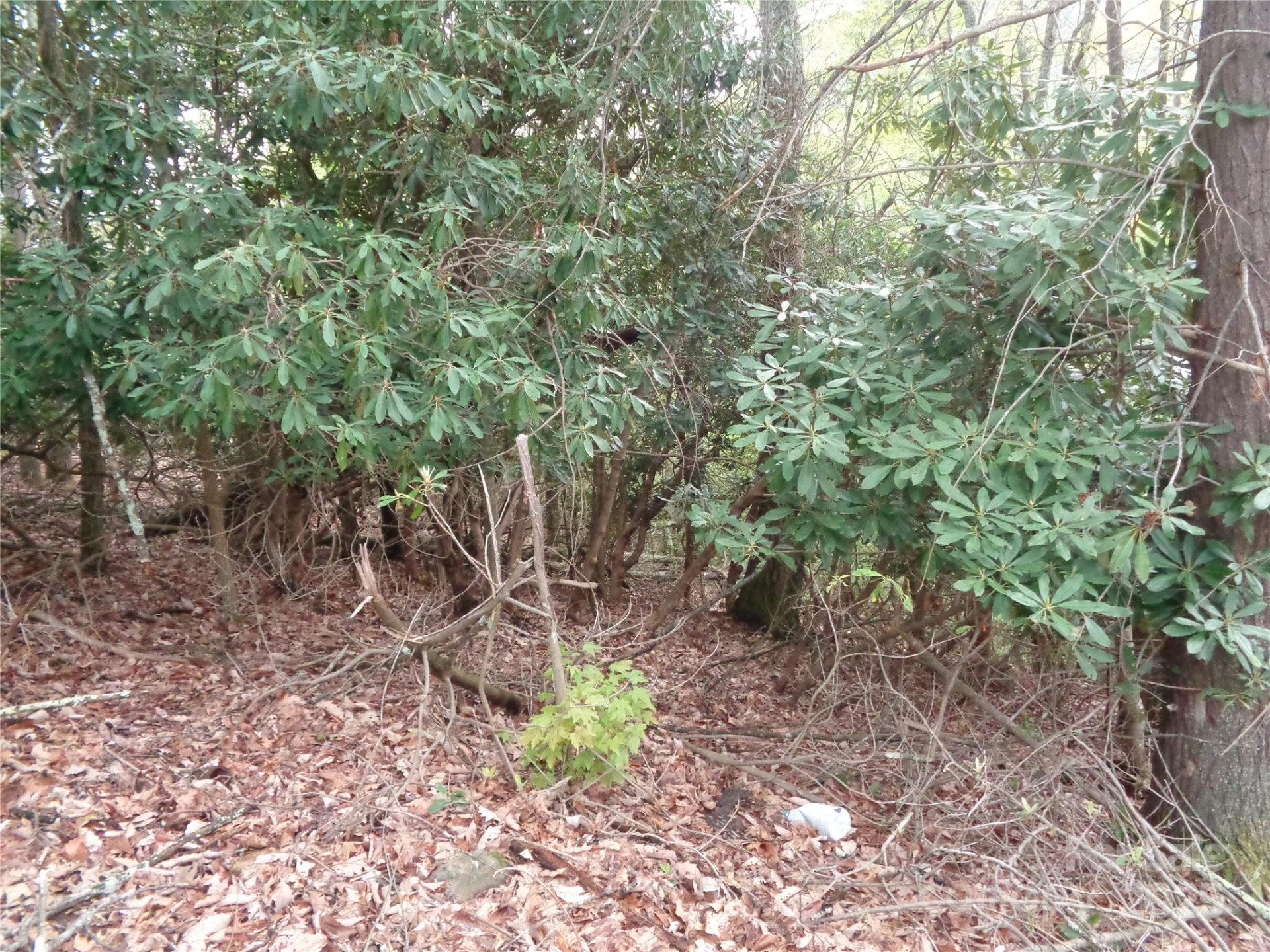 00 Promiseland Road - Photo 8