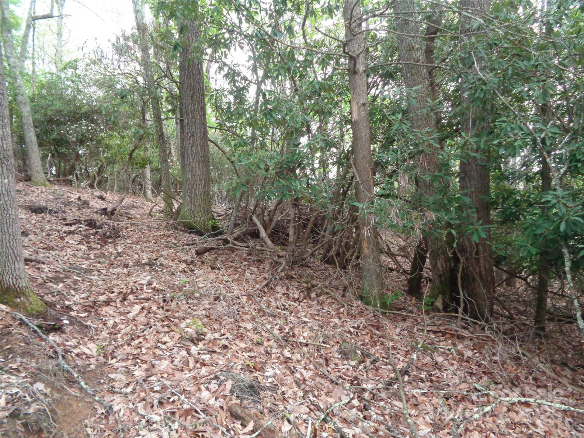 00 Promiseland Road - Photo 9