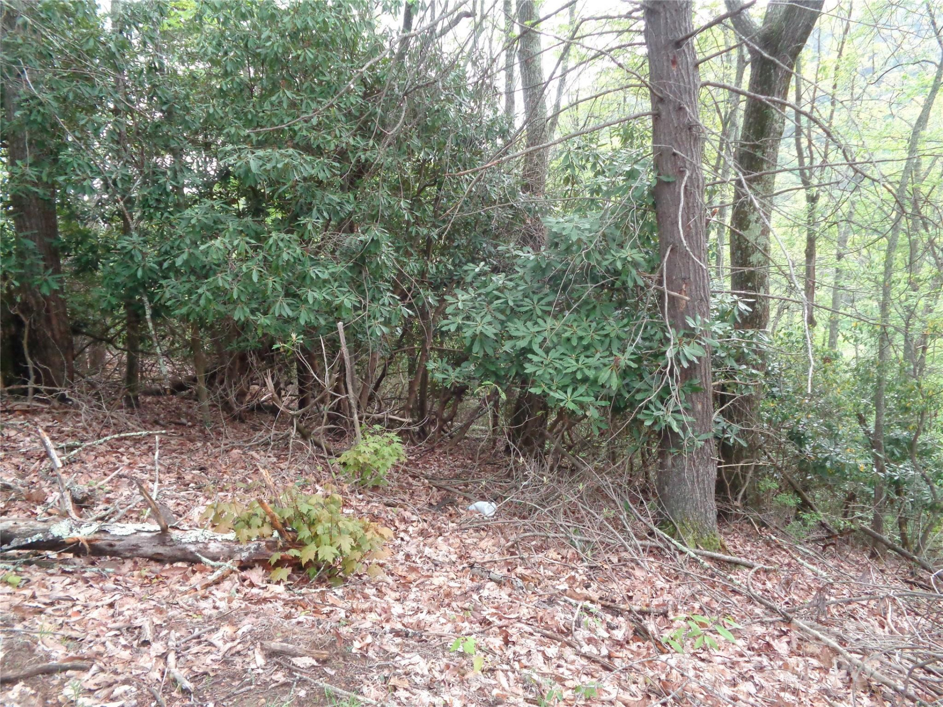 00 Promiseland Road - Photo 10