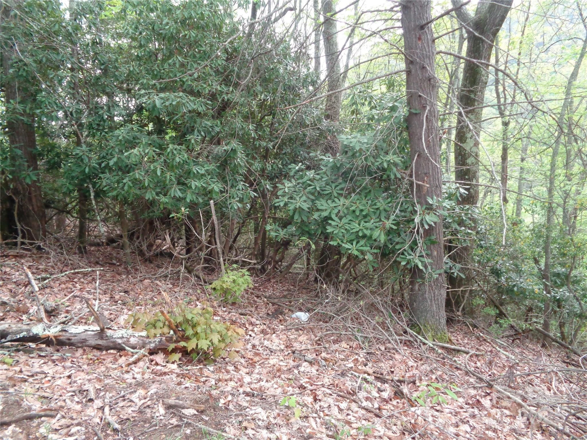 00 Promiseland Road - Photo 10
