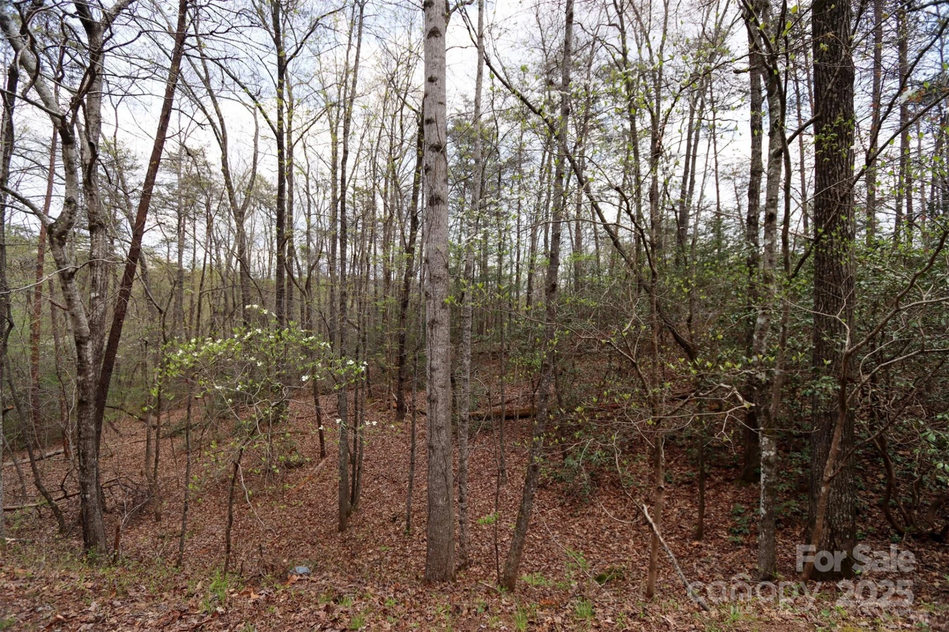0 Mcintosh Circle - Photo 3