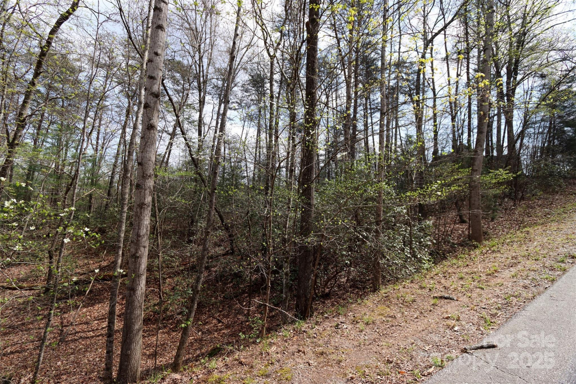 0 Mcintosh Circle - Photo 4