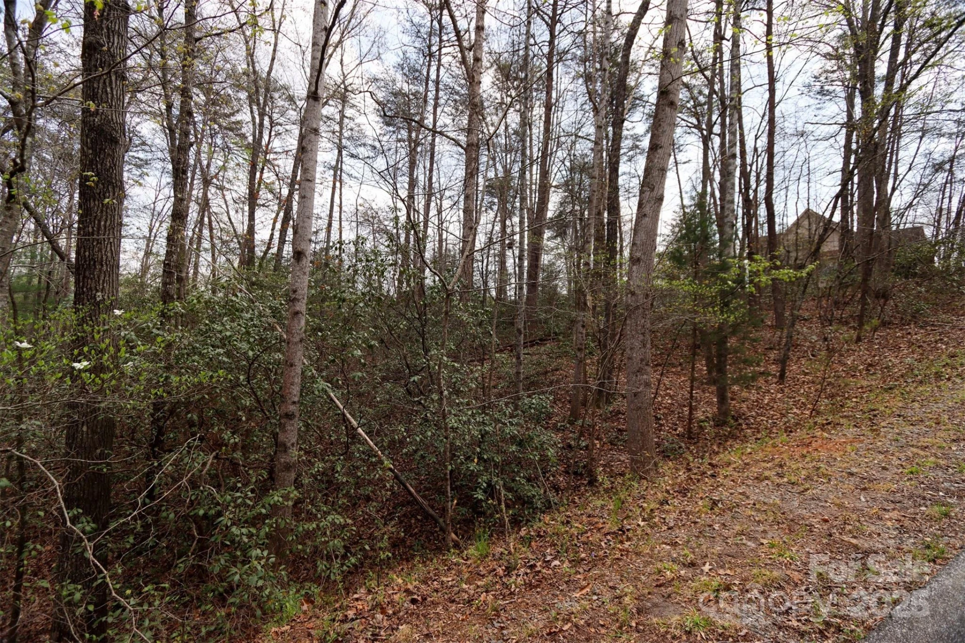 0 Mcintosh Circle - Photo 7
