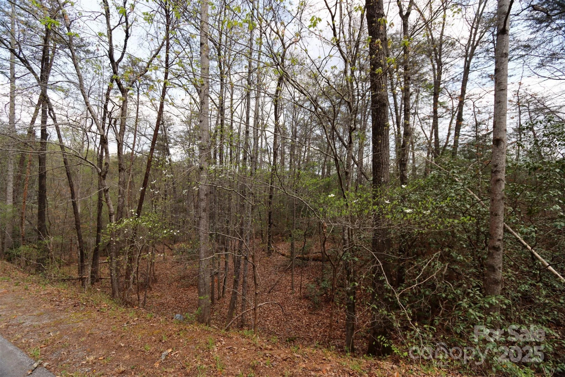 0 Mcintosh Circle - Photo 8