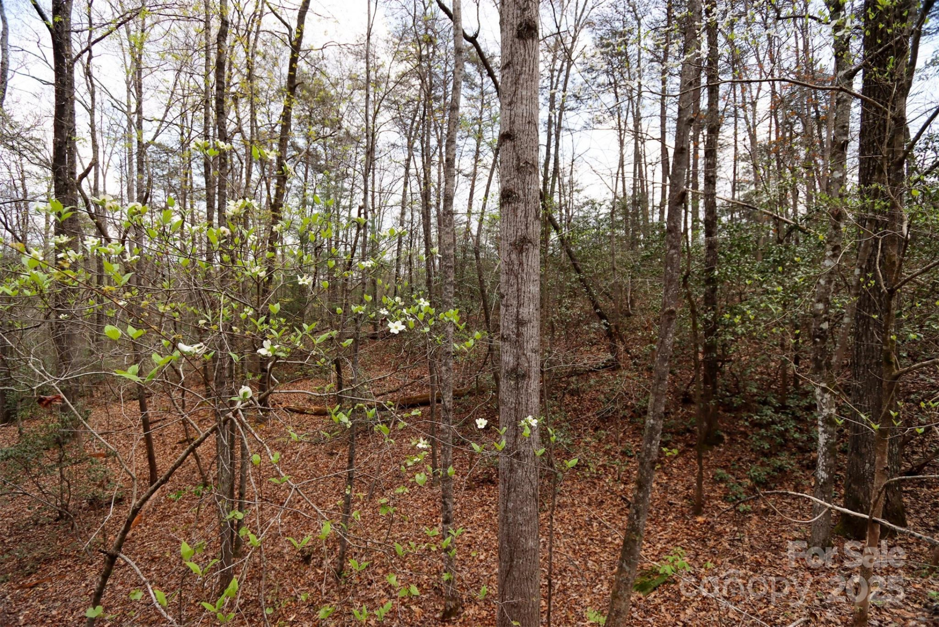 0 Mcintosh Circle - Photo 9