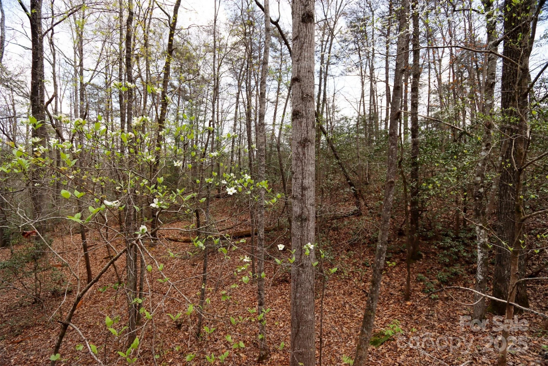 0 Mcintosh Circle - Photo 9