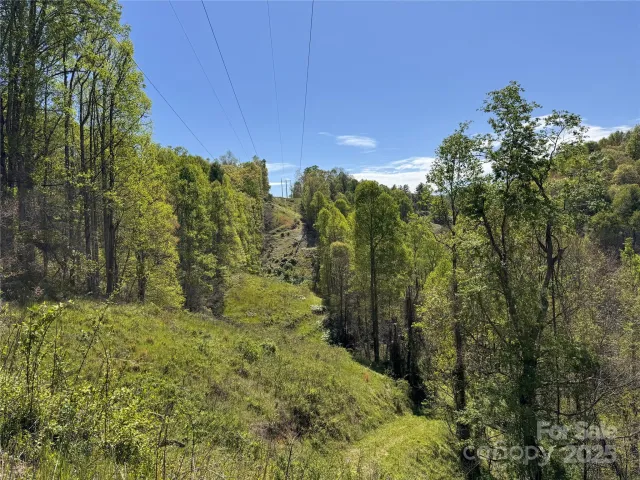 000 Relief Extension, Green Mountain, NC, 28740