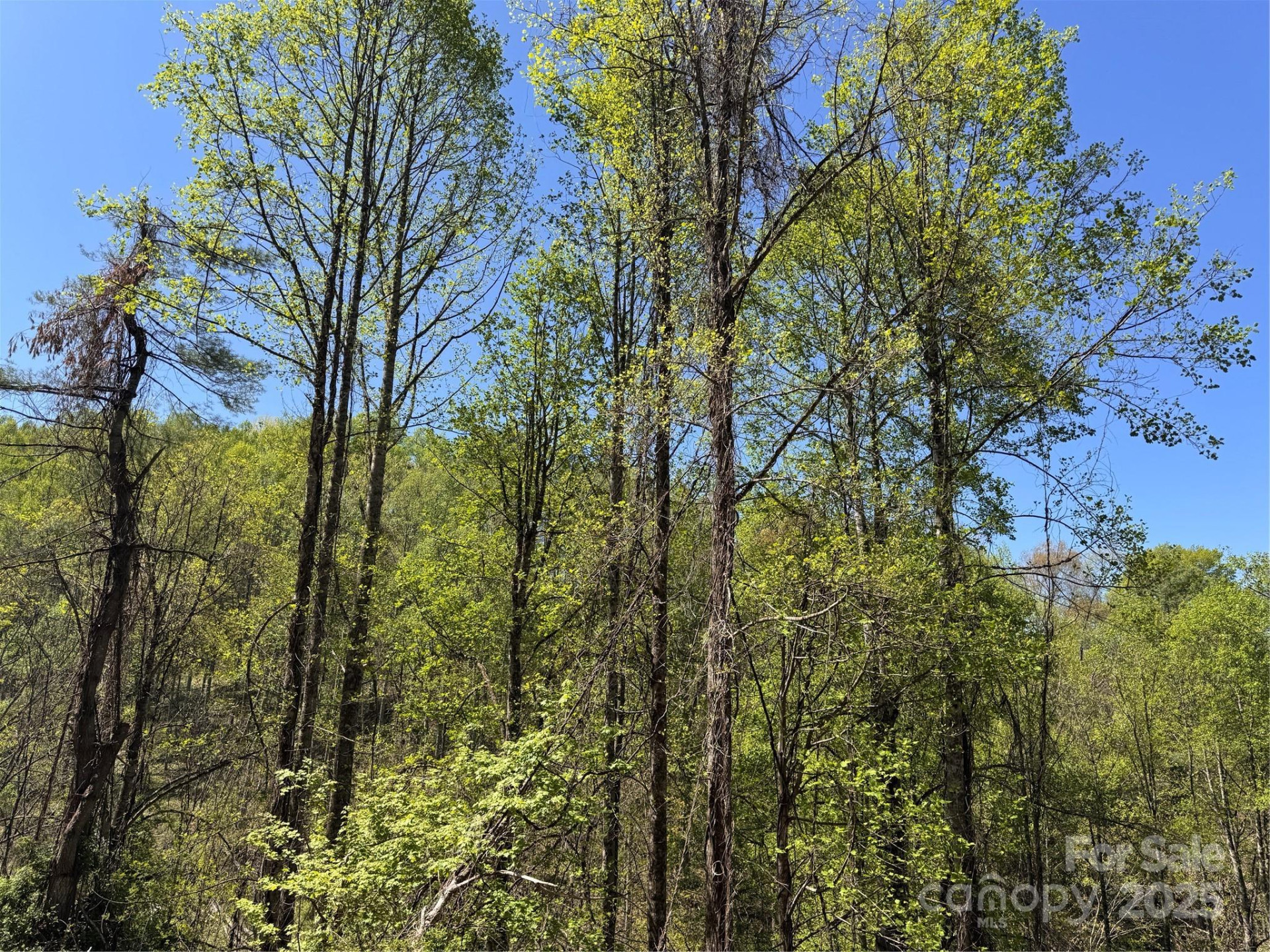 000 Relief Extension - Photo 11