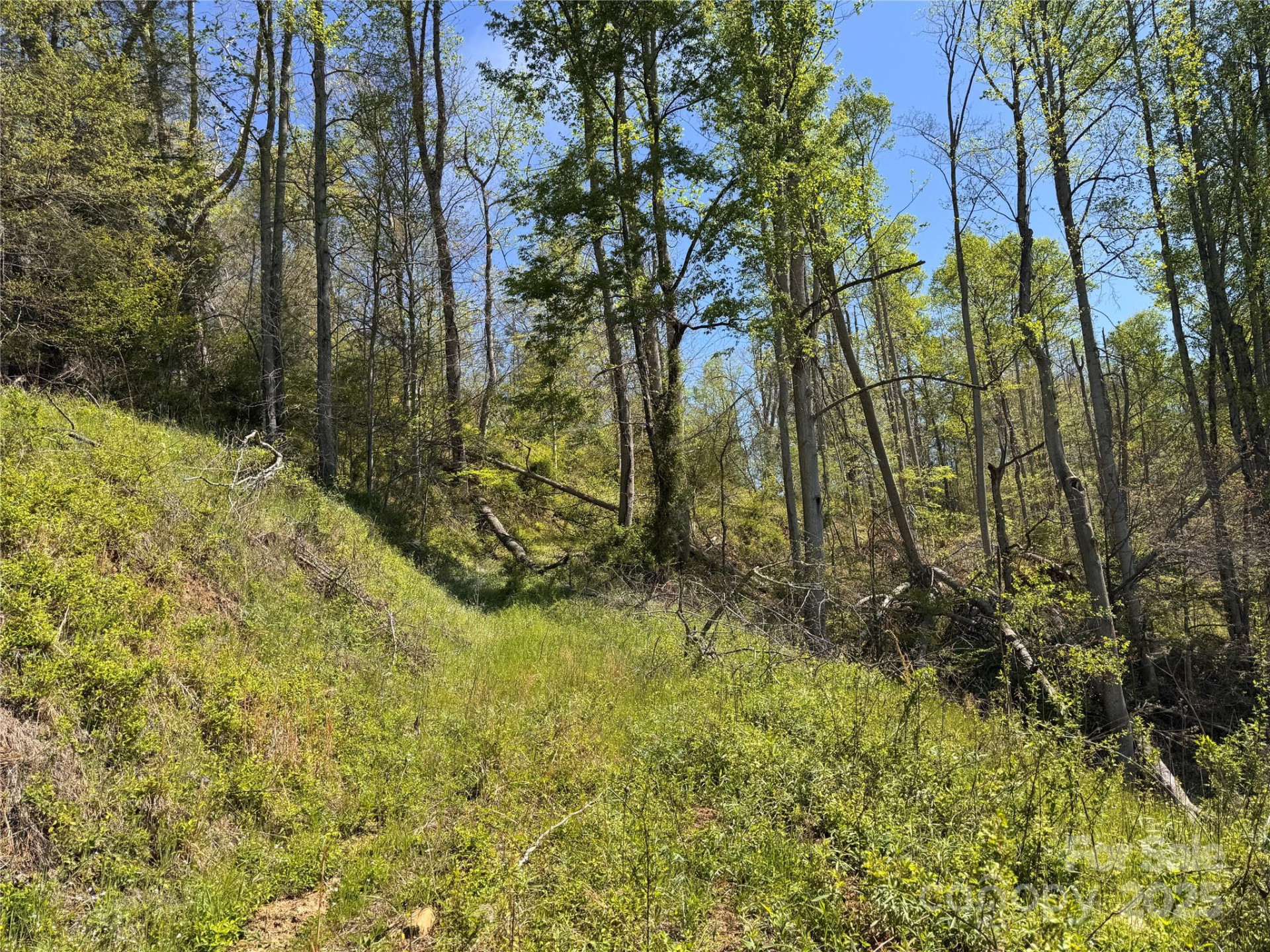 000 Relief Extension - Photo 12