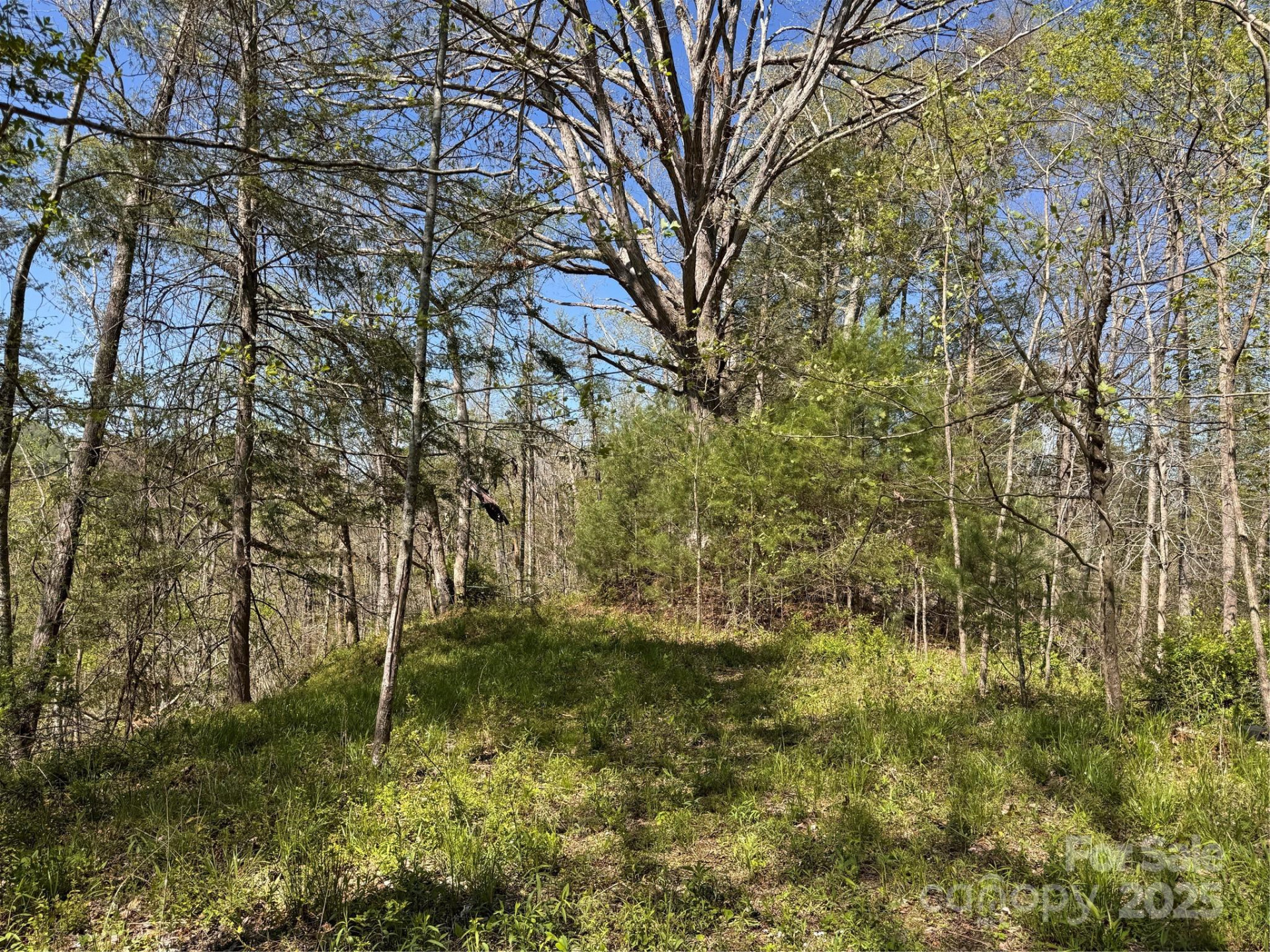 000 Relief Extension - Photo 14