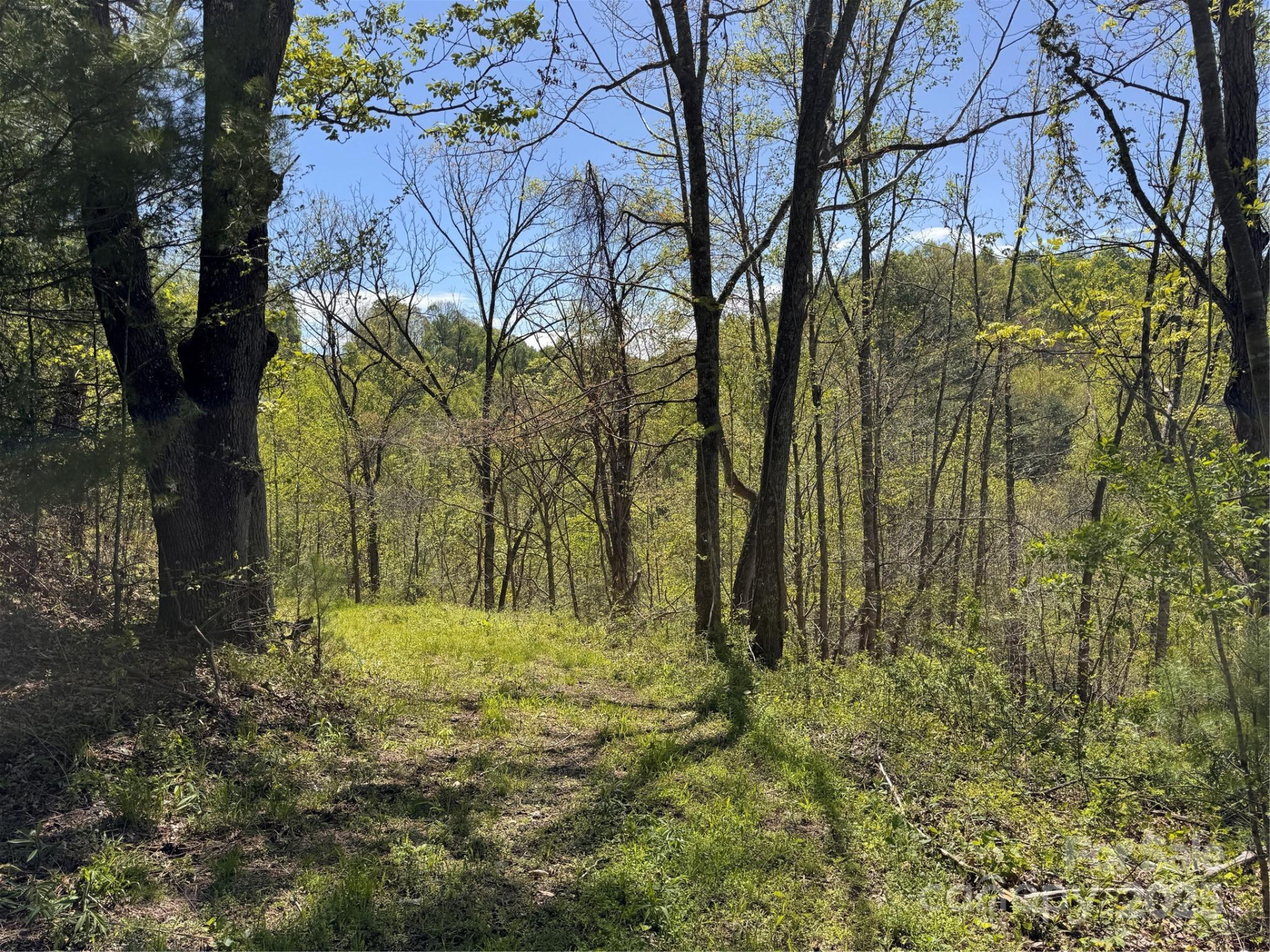 000 Relief Extension - Photo 15