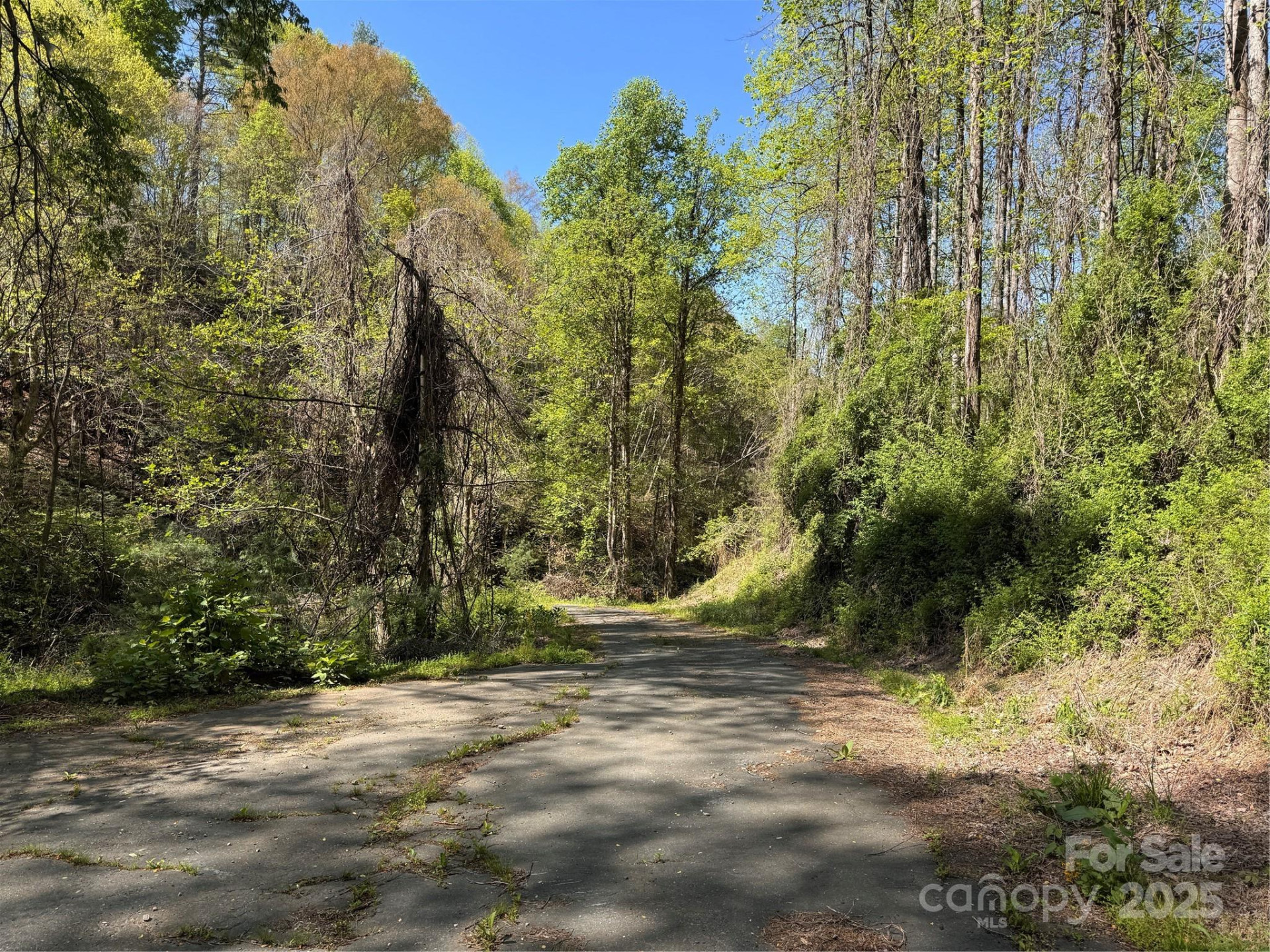 000 Relief Extension - Photo 16