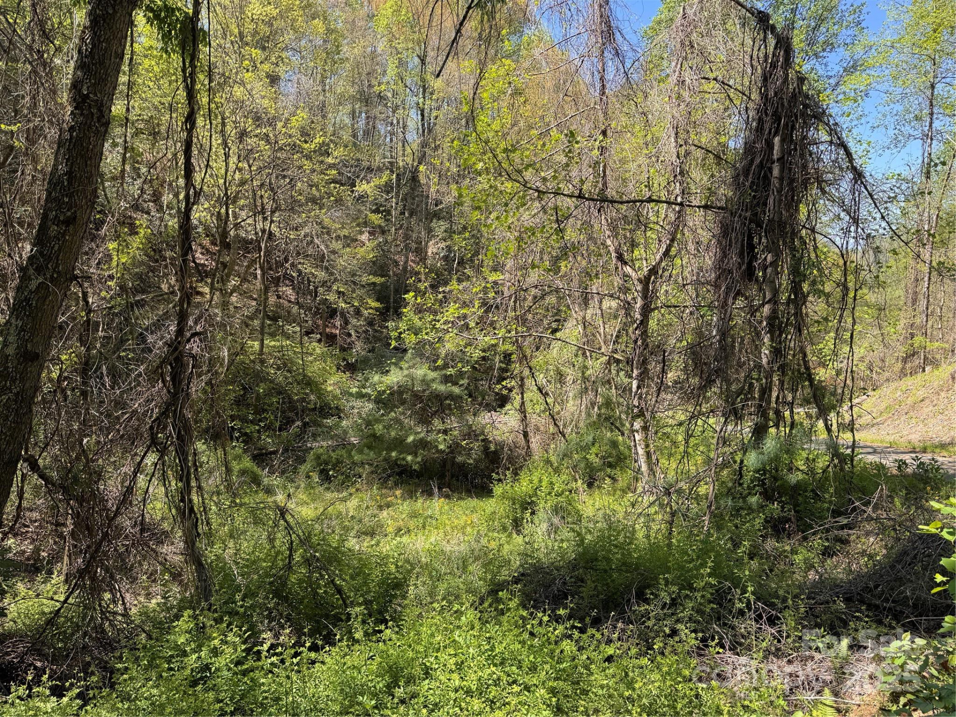 000 Relief Extension - Photo 17