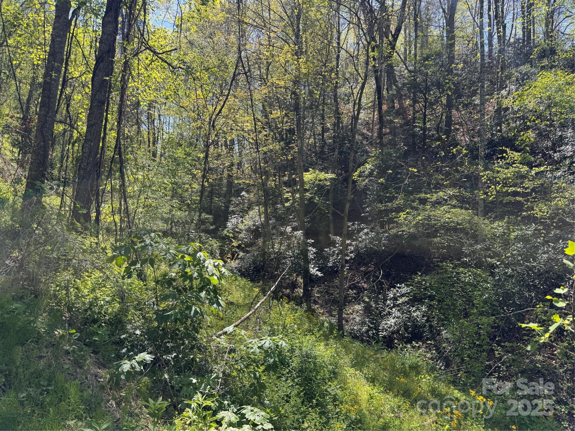 000 Relief Extension - Photo 4