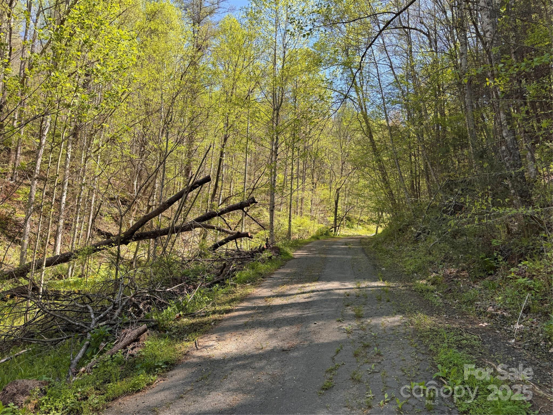 000 Relief Extension - Photo 5