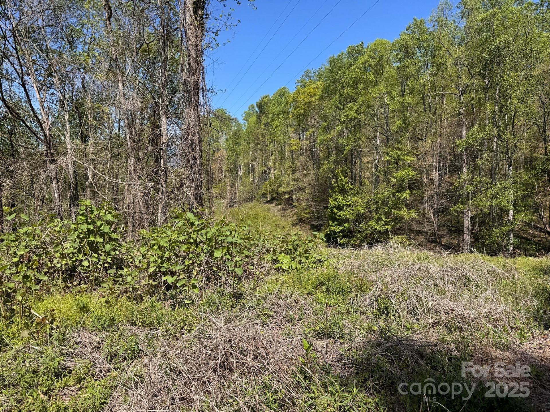 000 Relief Extension - Photo 7