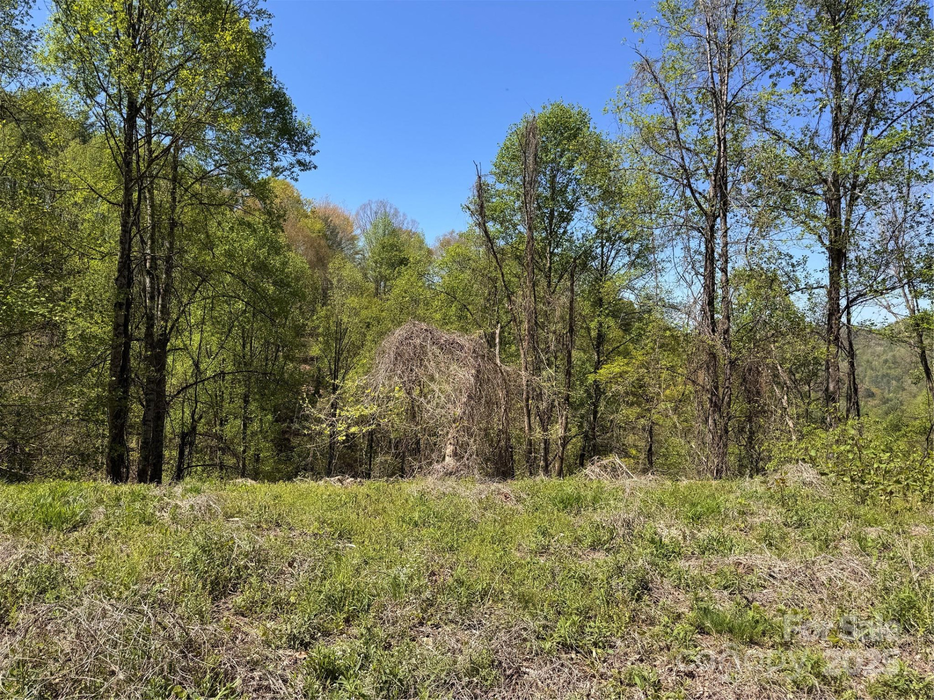 000 Relief Extension - Photo 8