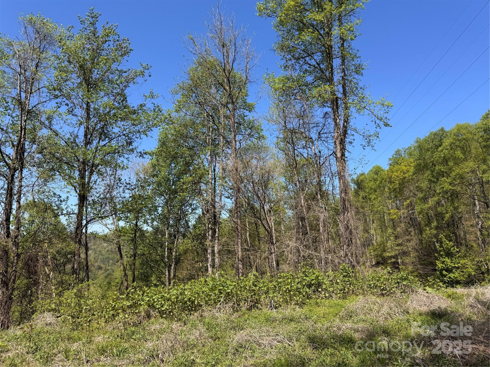 000 Relief Extension - Photo 9