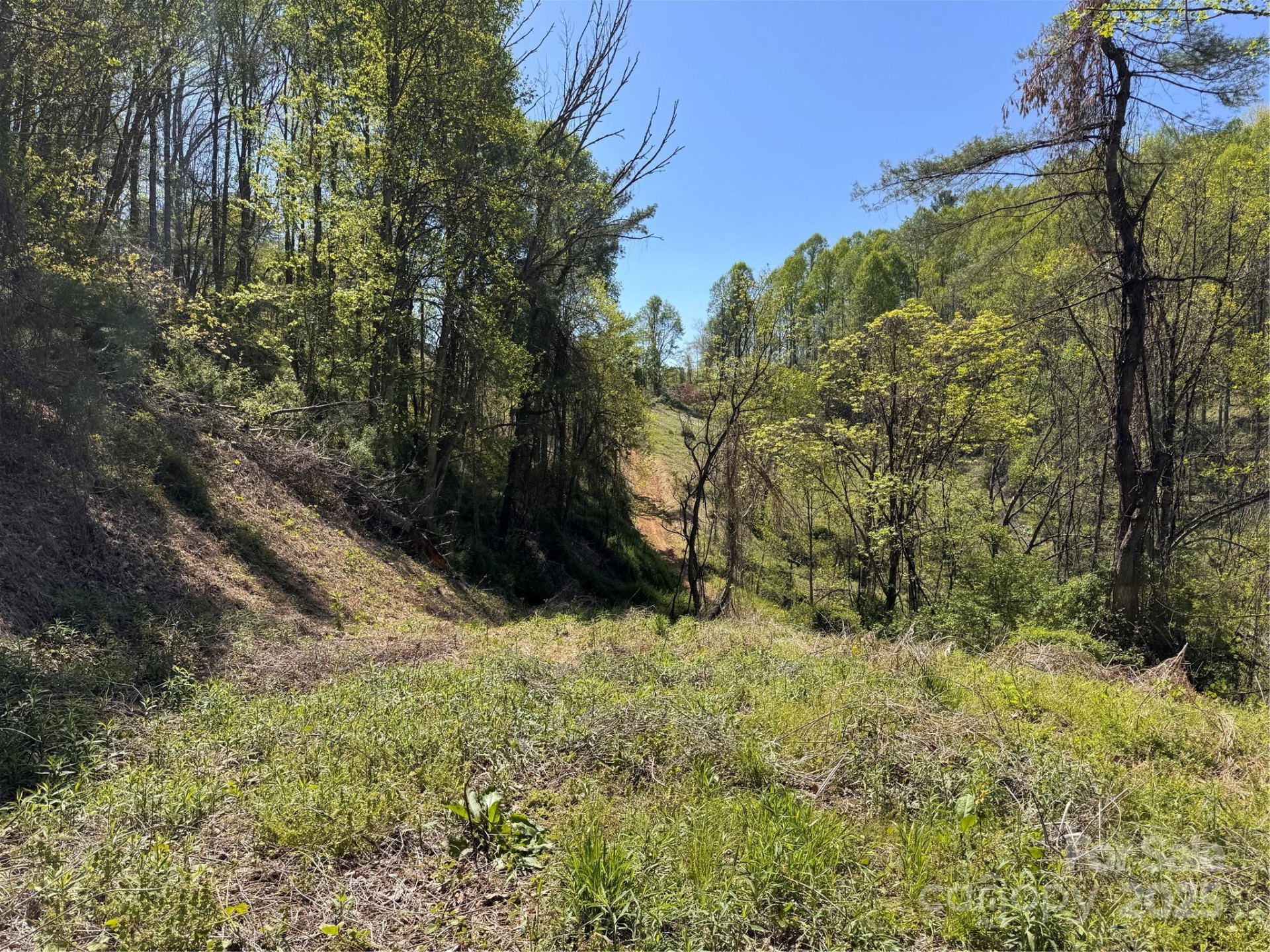 000 Relief Extension - Photo 10