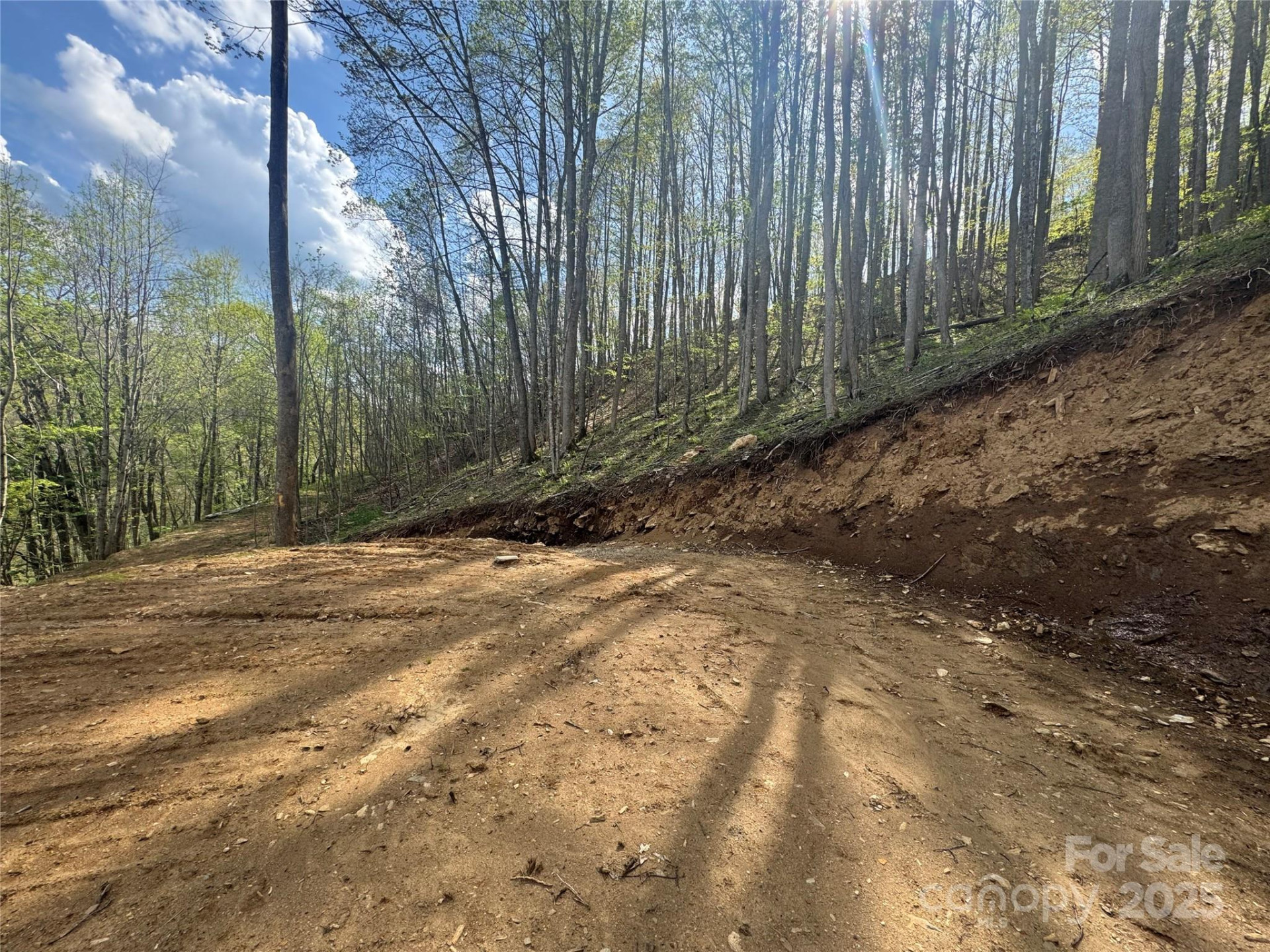 10/11 Thrash Lane - Photo 2