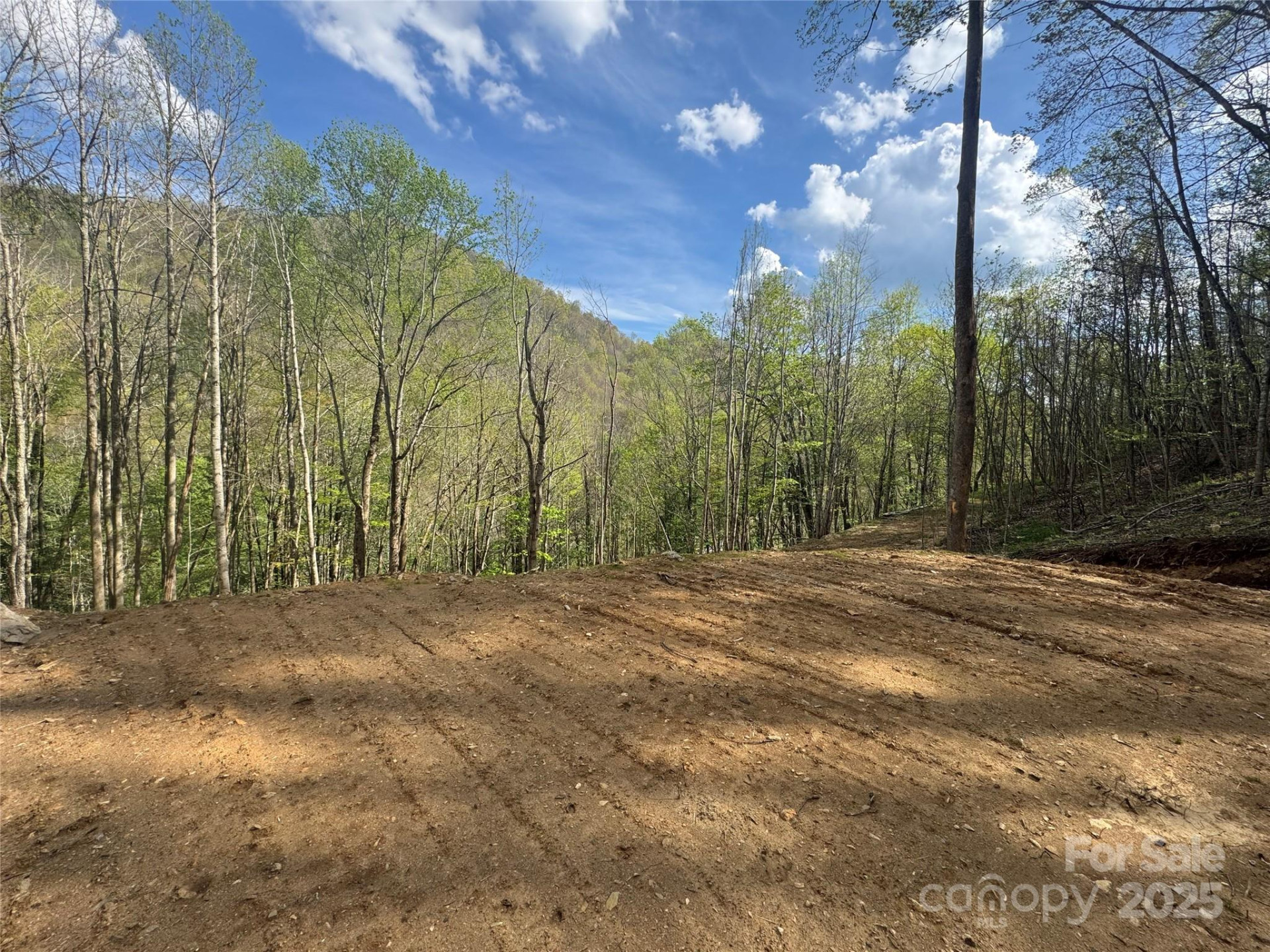 10/11 Thrash Lane - Photo 3