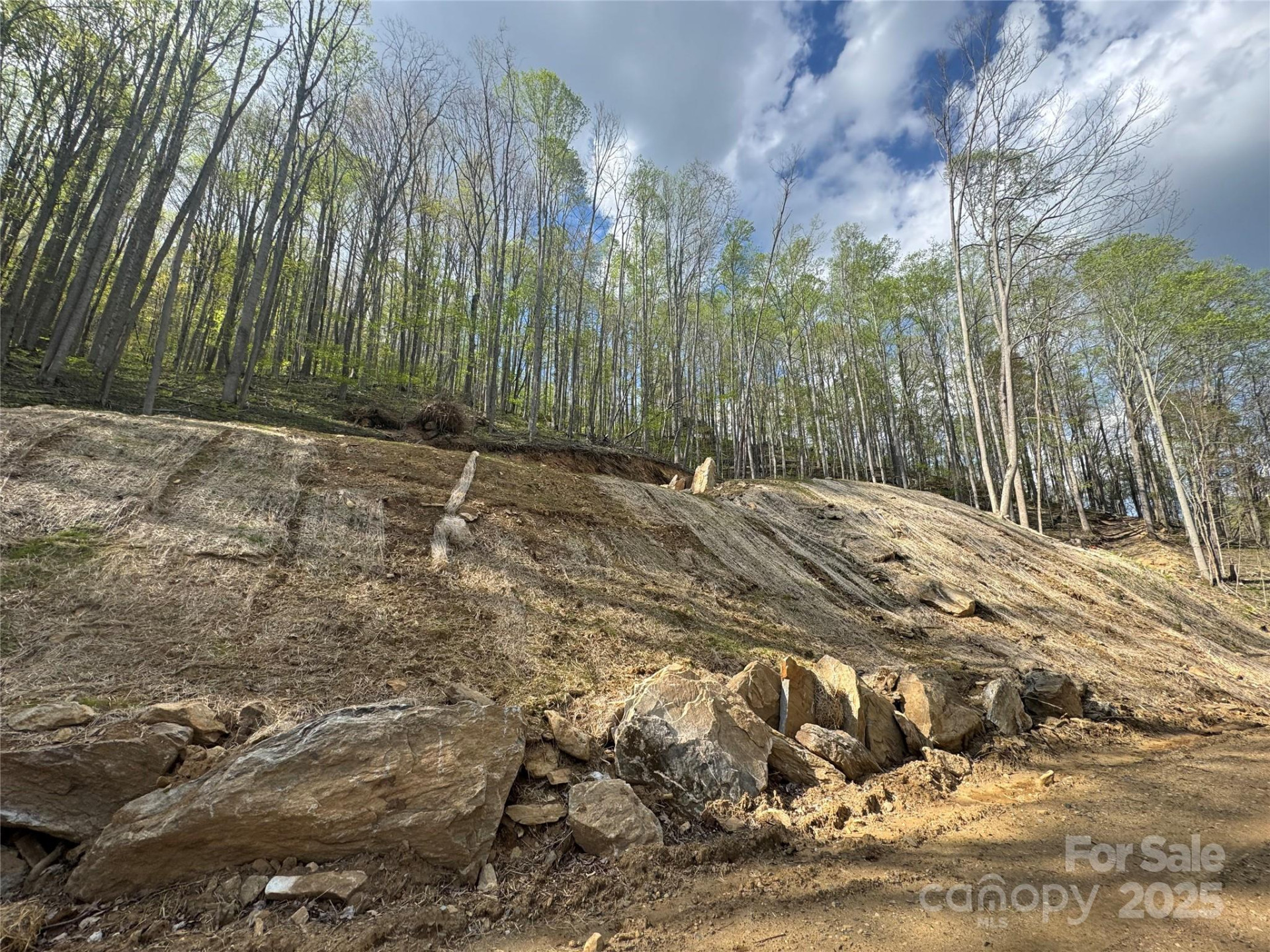 10/11 Thrash Lane - Photo 7