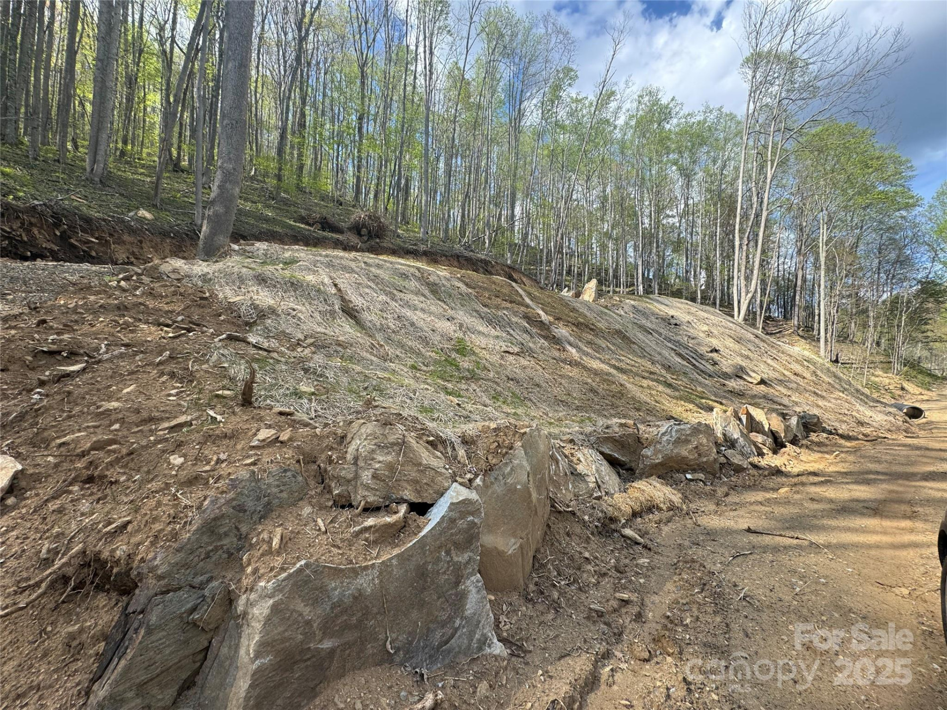 10/11 Thrash Lane - Photo 8