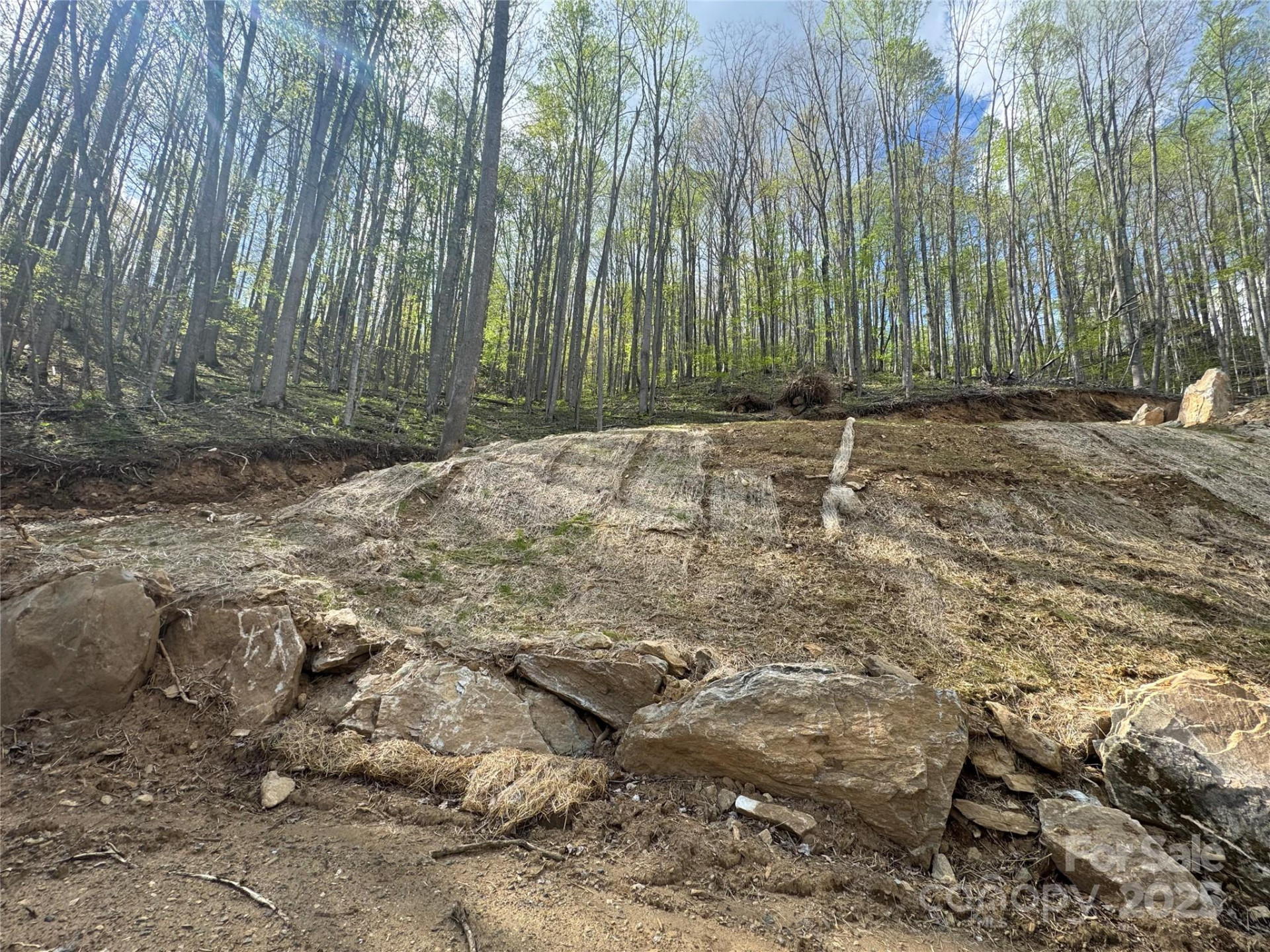 10/11 Thrash Lane - Photo 9