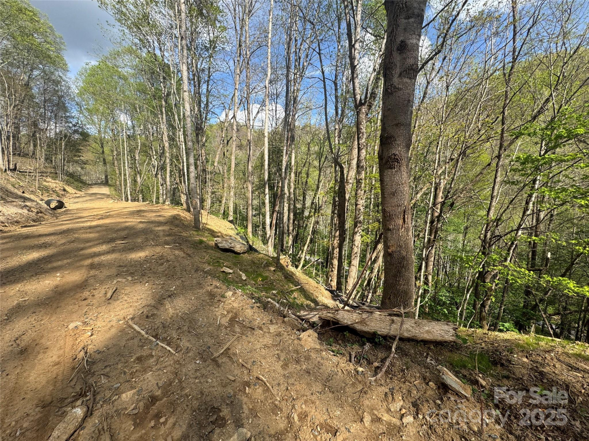 10/11 Thrash Lane - Photo 10