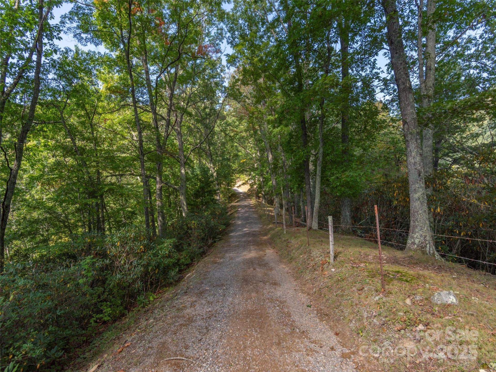 0 Clark Road - Photo 13