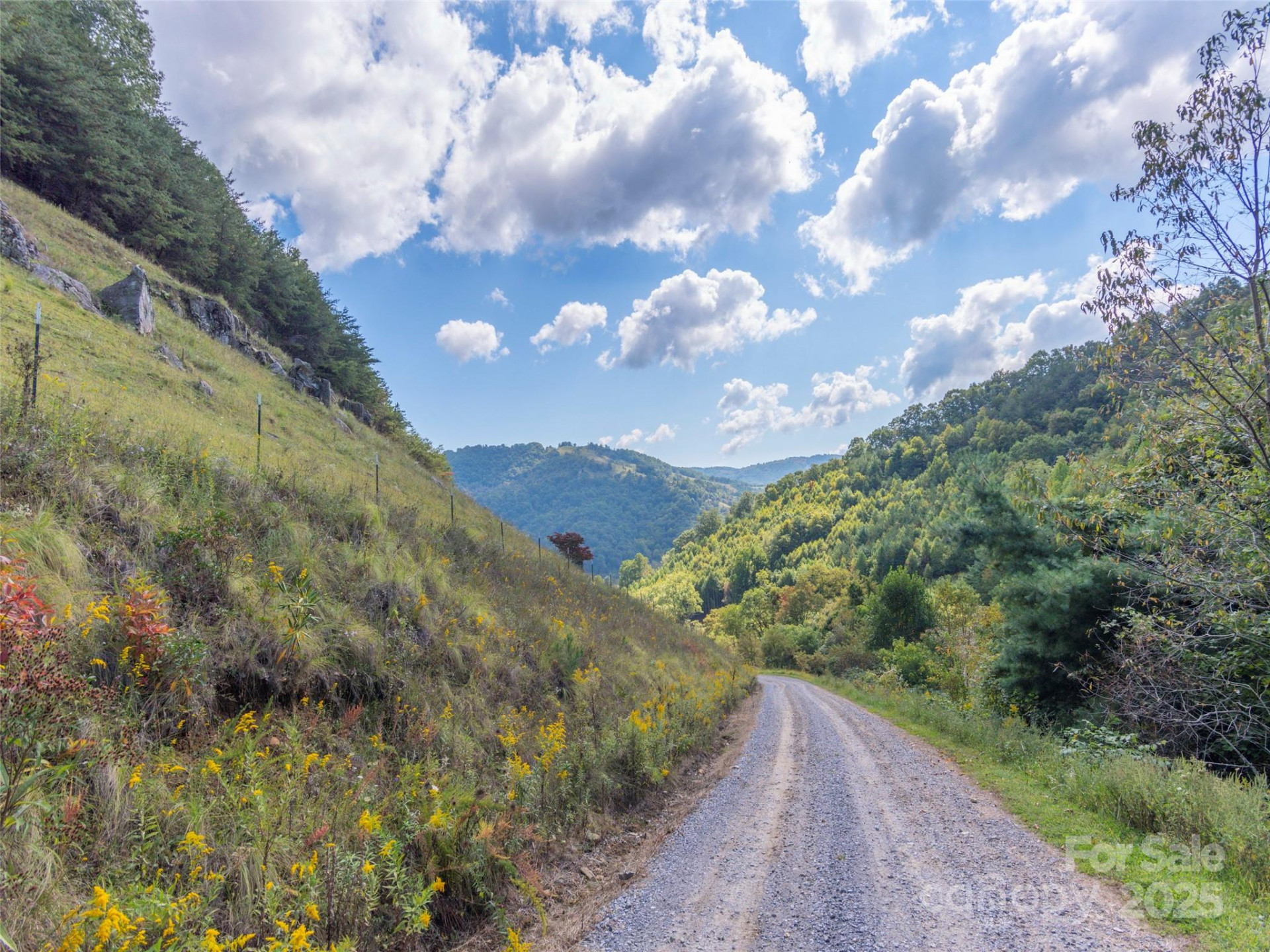 0 Clark Road - Photo 16