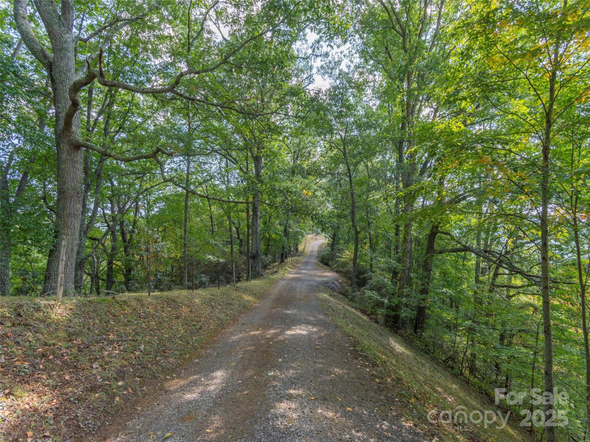 0 Clark Road - Photo 8