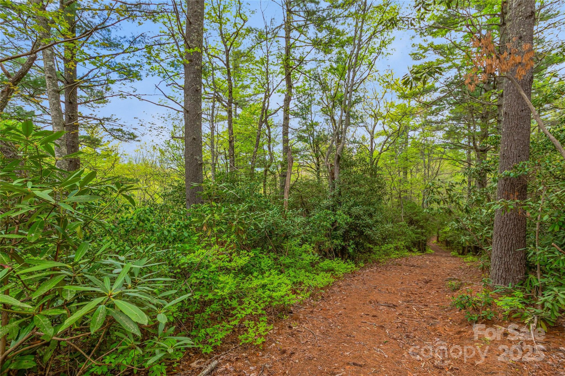 3539 West Club Boulevard - Photo 15