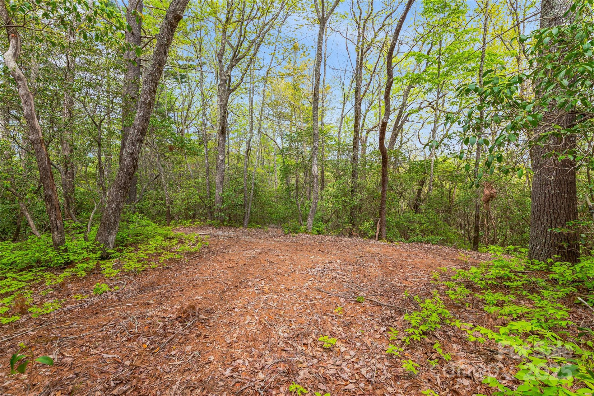 3539 West Club Boulevard - Photo 17