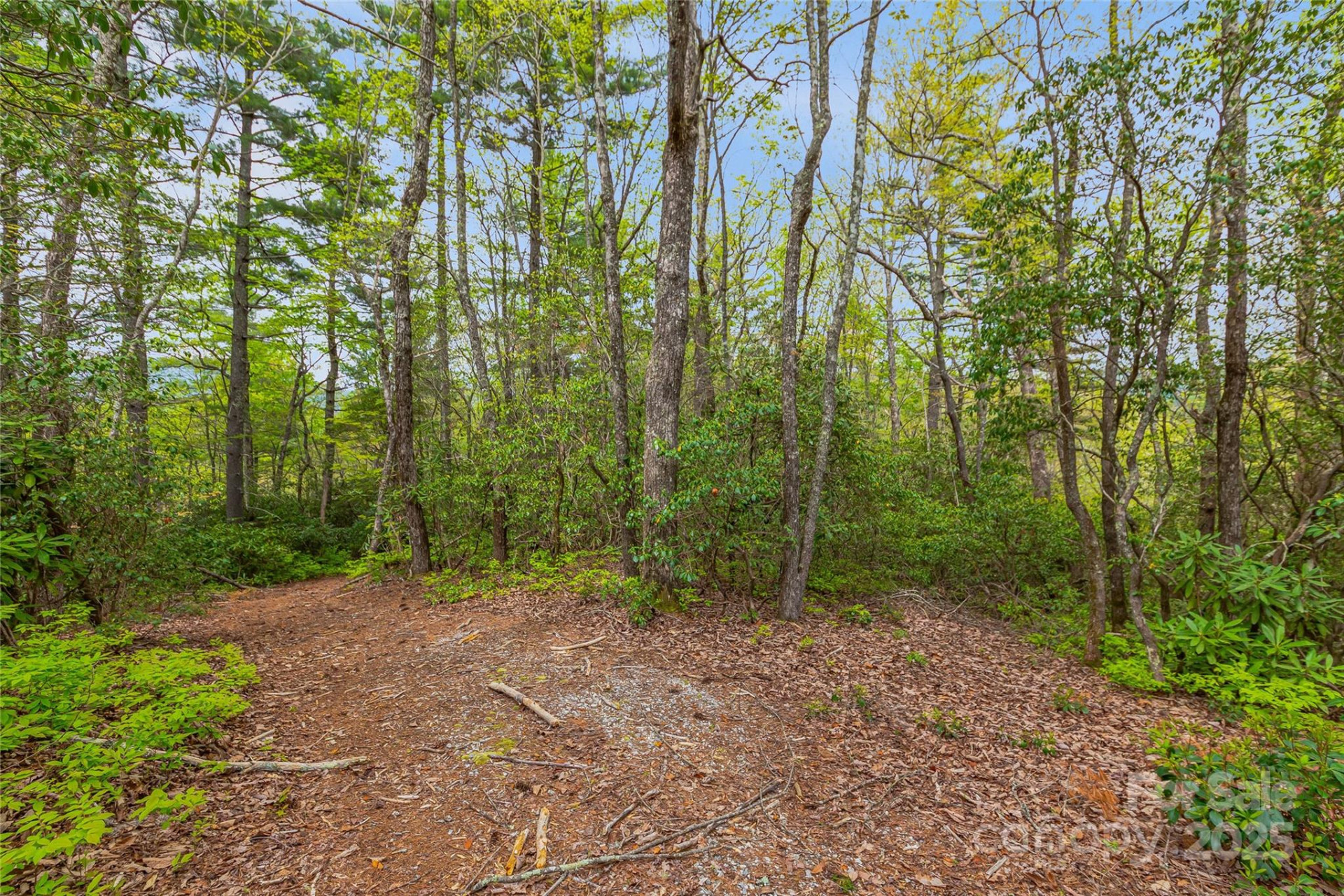 3539 West Club Boulevard - Photo 20