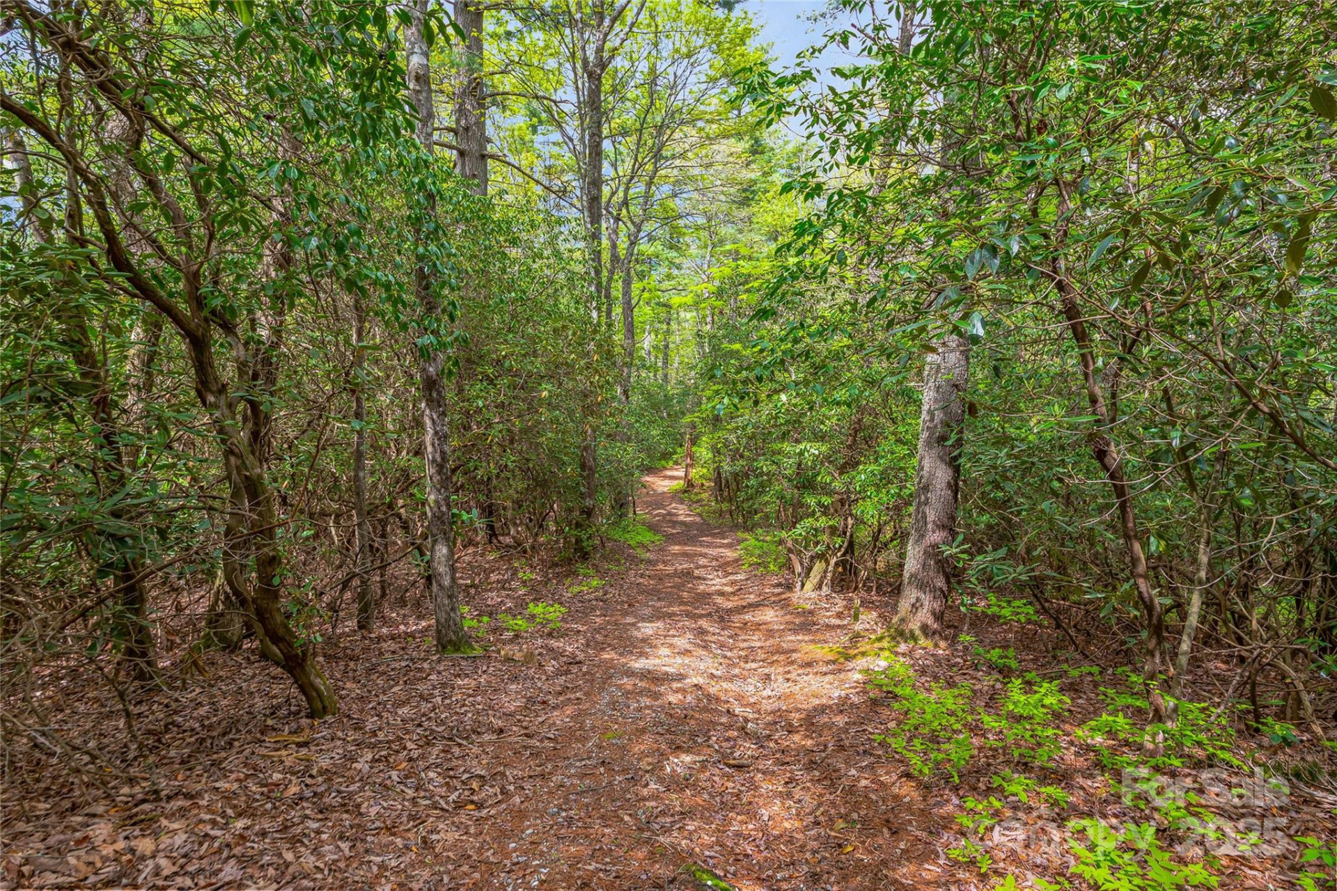 3539 West Club Boulevard - Photo 9