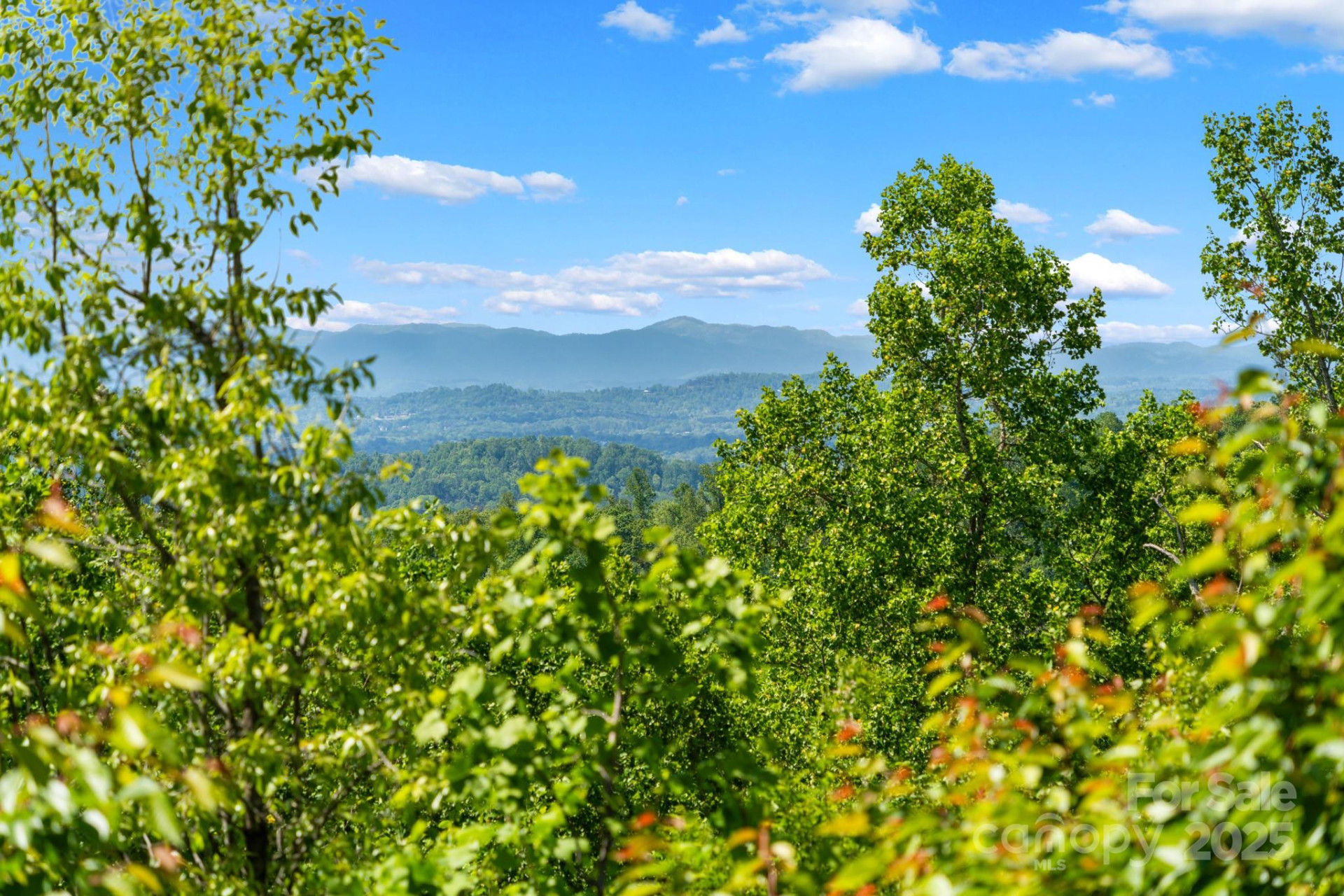 117 Distant View Drive - Photo 41