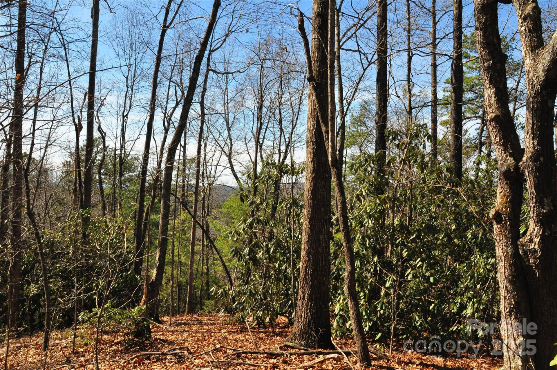 0 Stoneledge Road - Photo 2