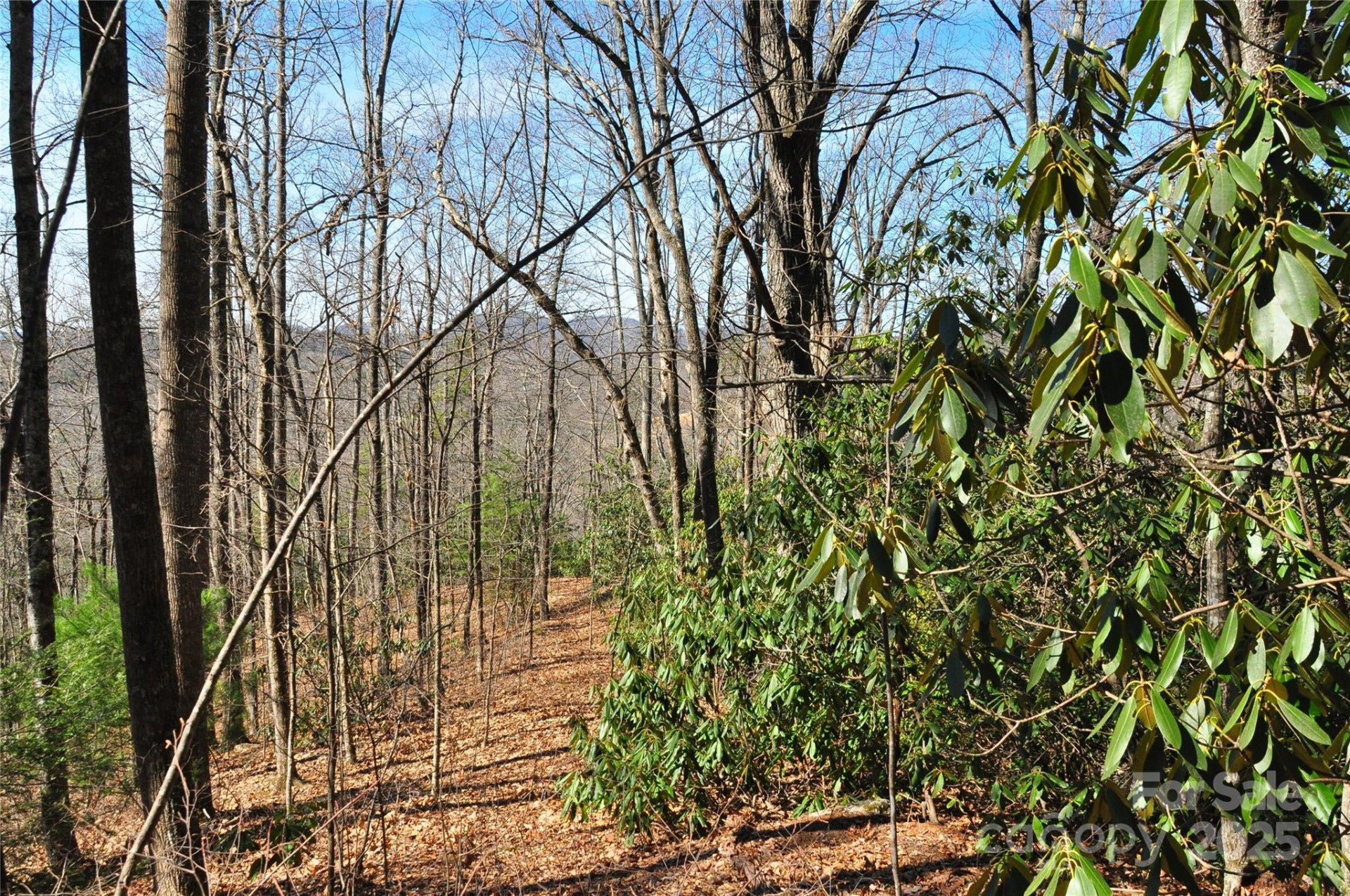 0 Stoneledge Road - Photo 3