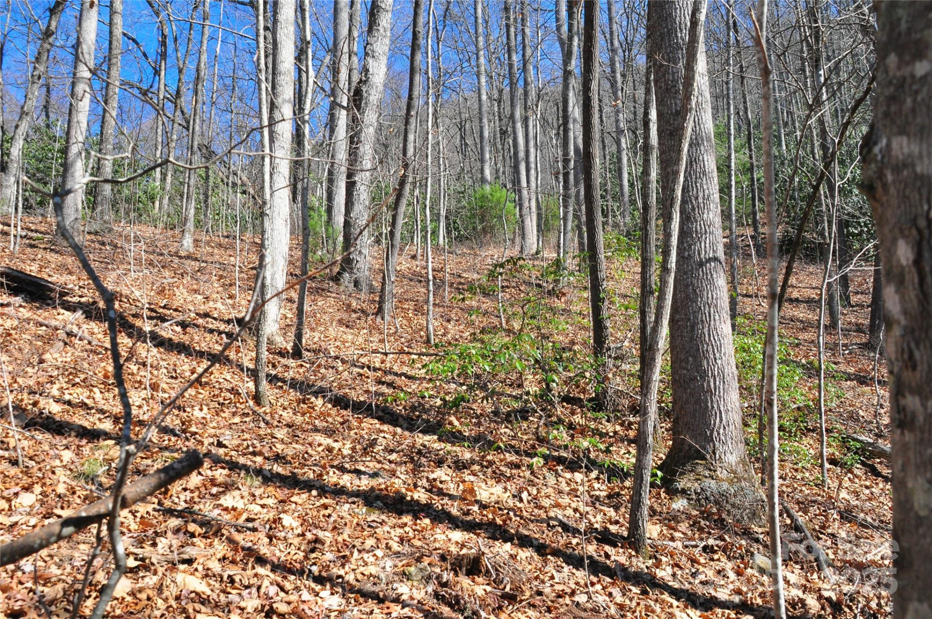 0 Stoneledge Road - Photo 4