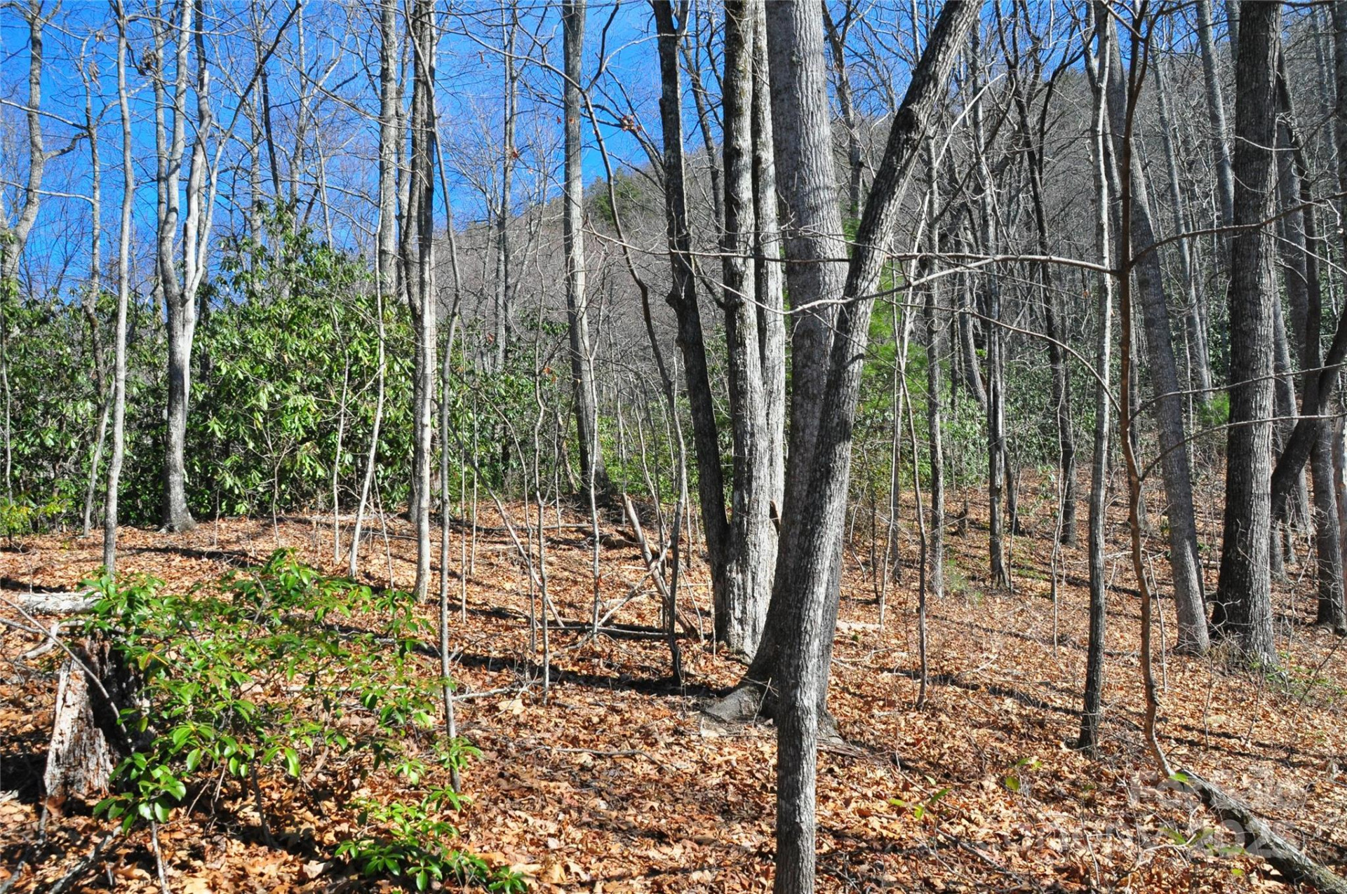 0 Stoneledge Road - Photo 5