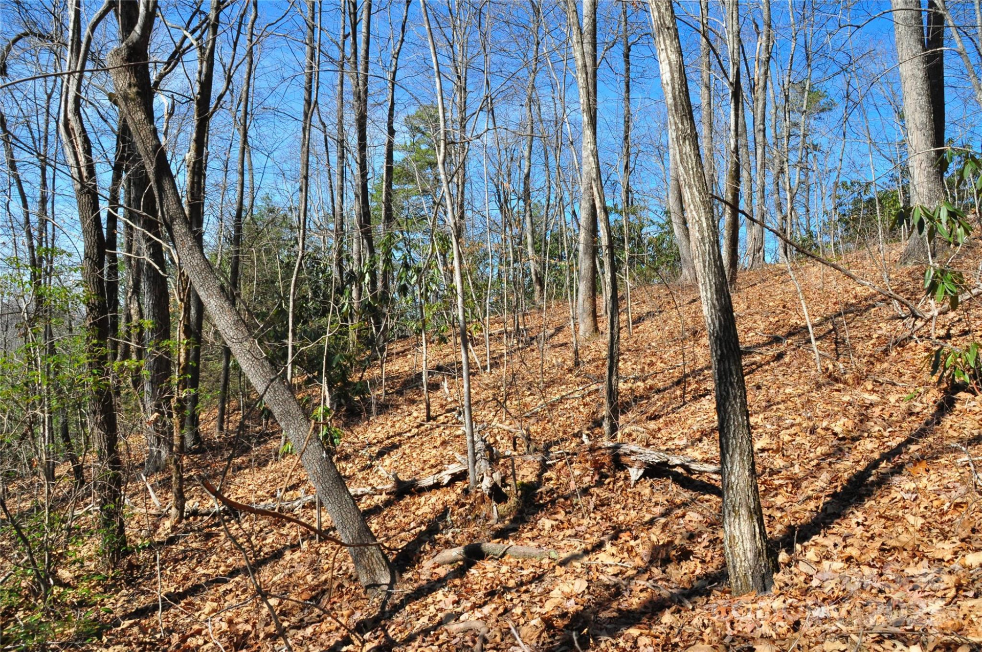 0 Stoneledge Road - Photo 6