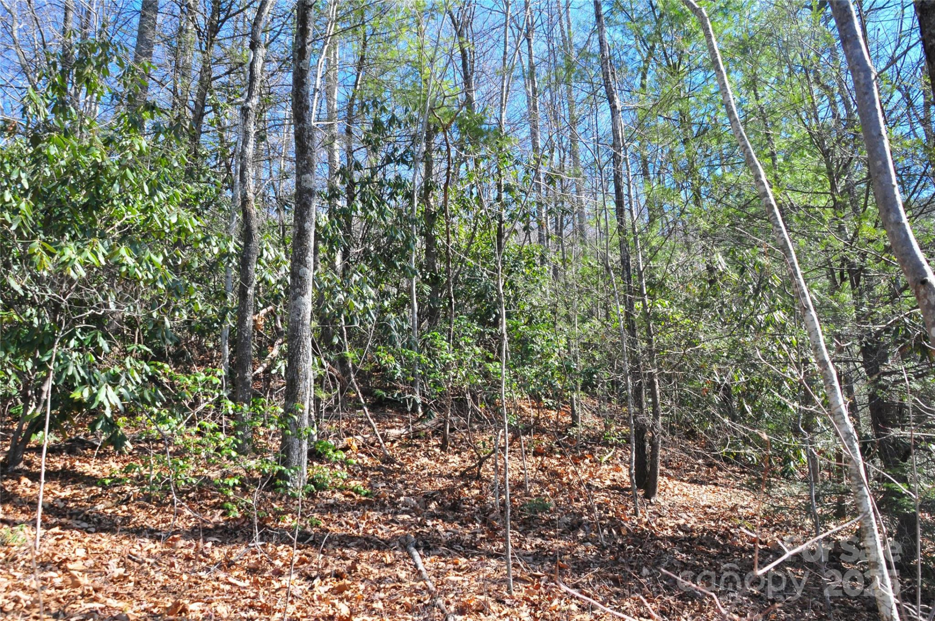 0 Stoneledge Road - Photo 7