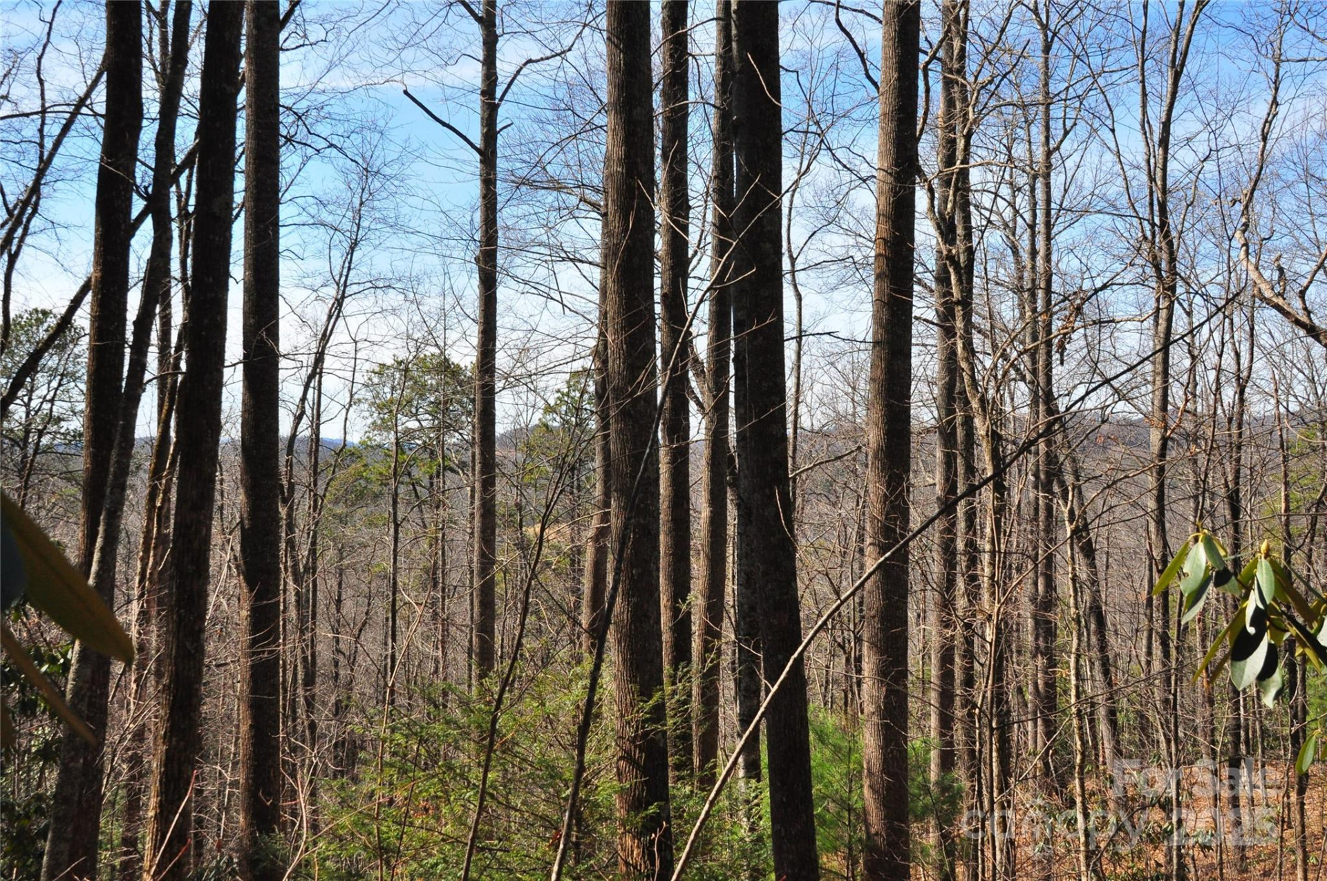 0 Stoneledge Road - Photo 8